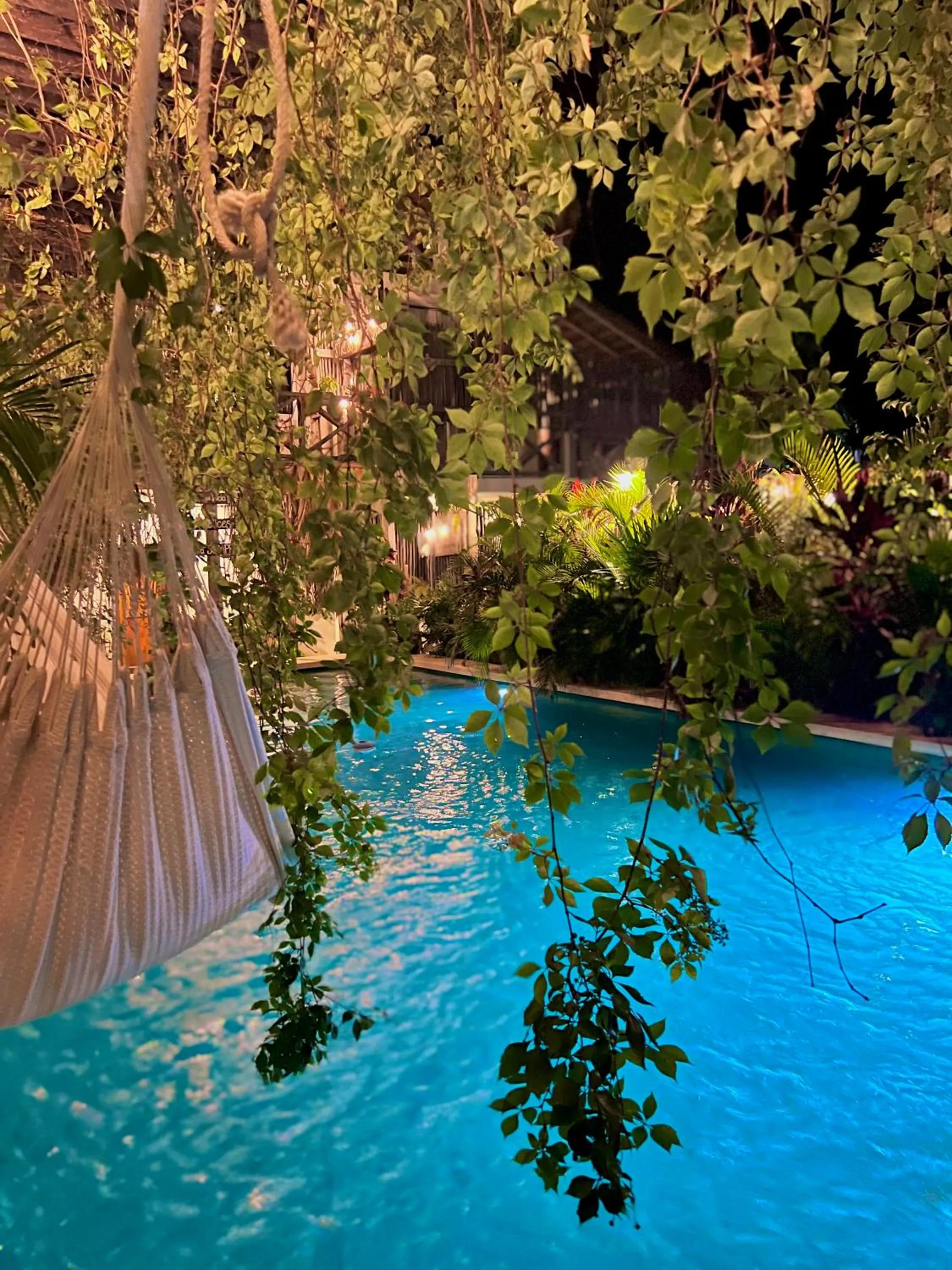 Pool view in Hotel Jaiba Mahahual - Adults Only