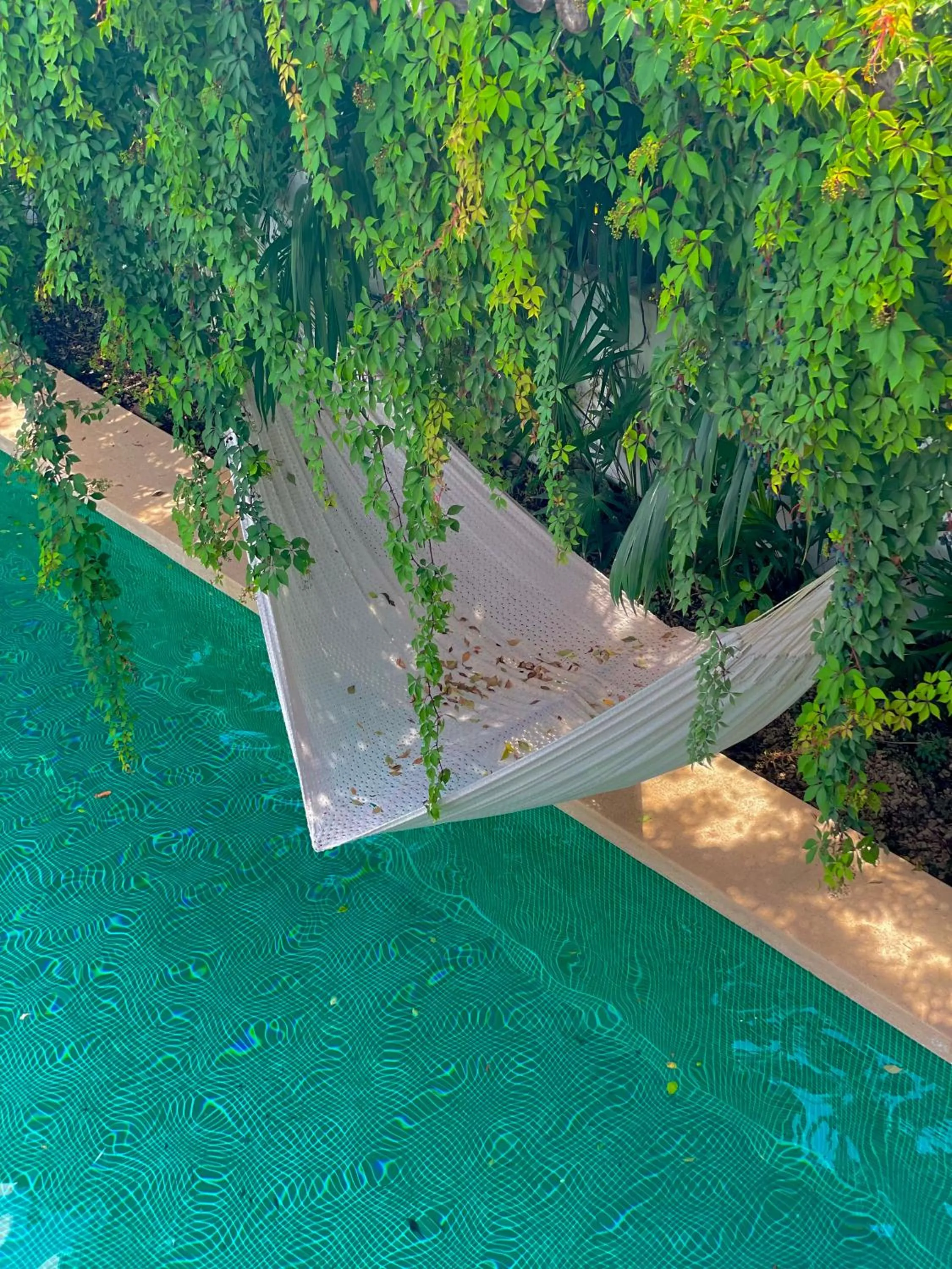 Day in Hotel Jaiba Mahahual - Adults Only