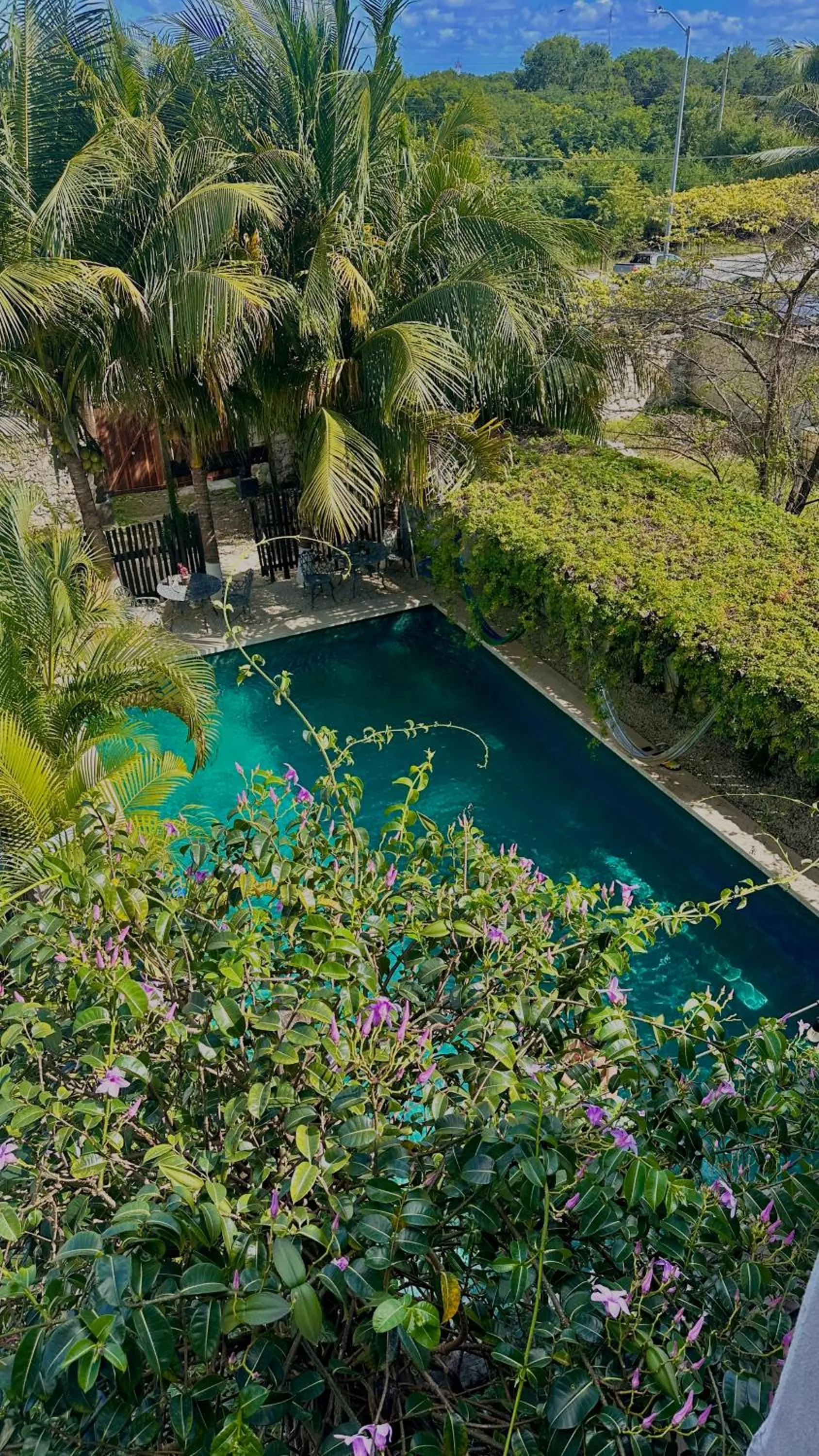 Swimming pool in Hotel Jaiba Mahahual - Adults Only