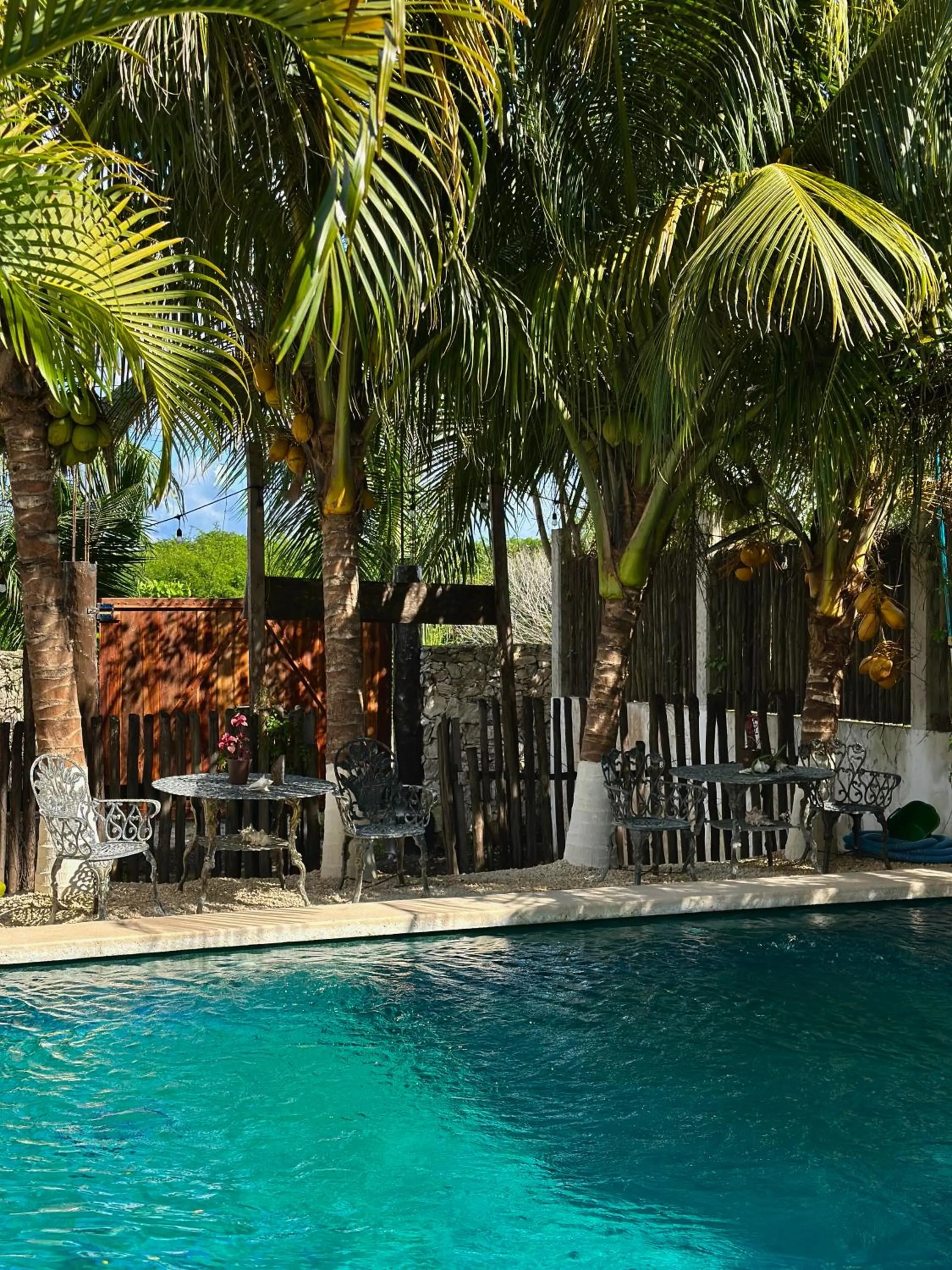 Day in Hotel Jaiba Mahahual - Adults Only