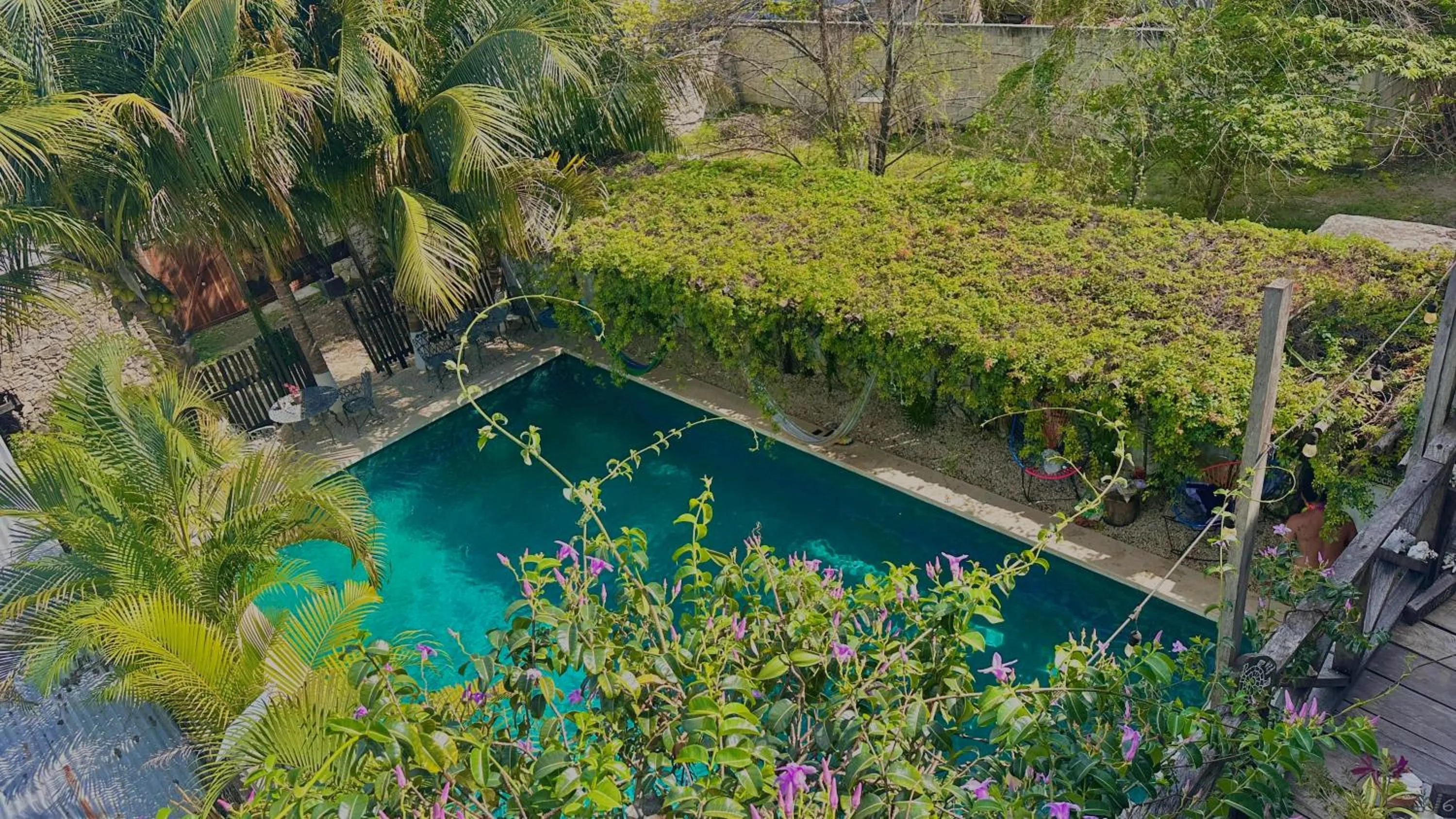 Swimming pool in Hotel Jaiba Mahahual - Adults Only