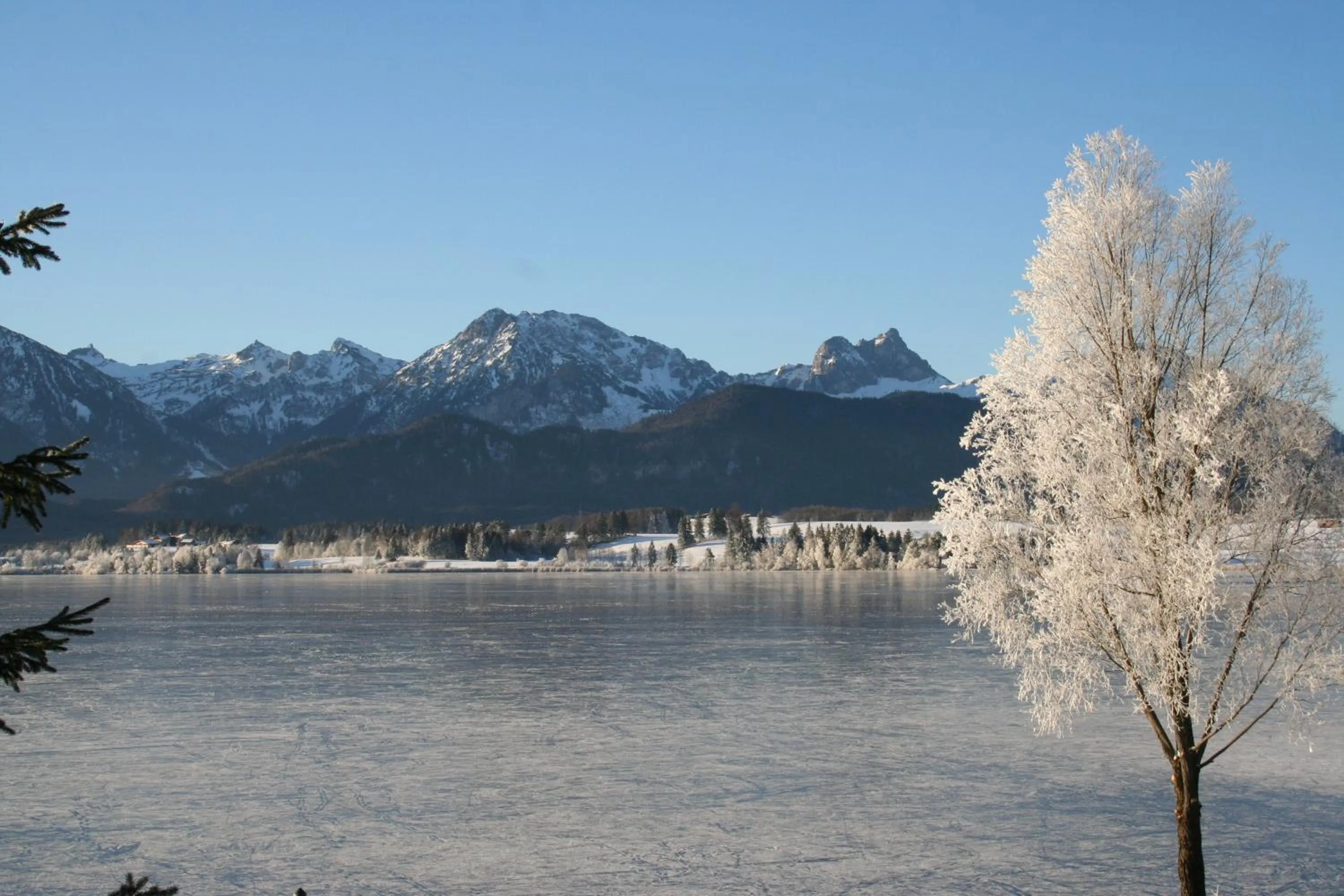 Lake view in Seehotel Hartung & Ferienappartements
