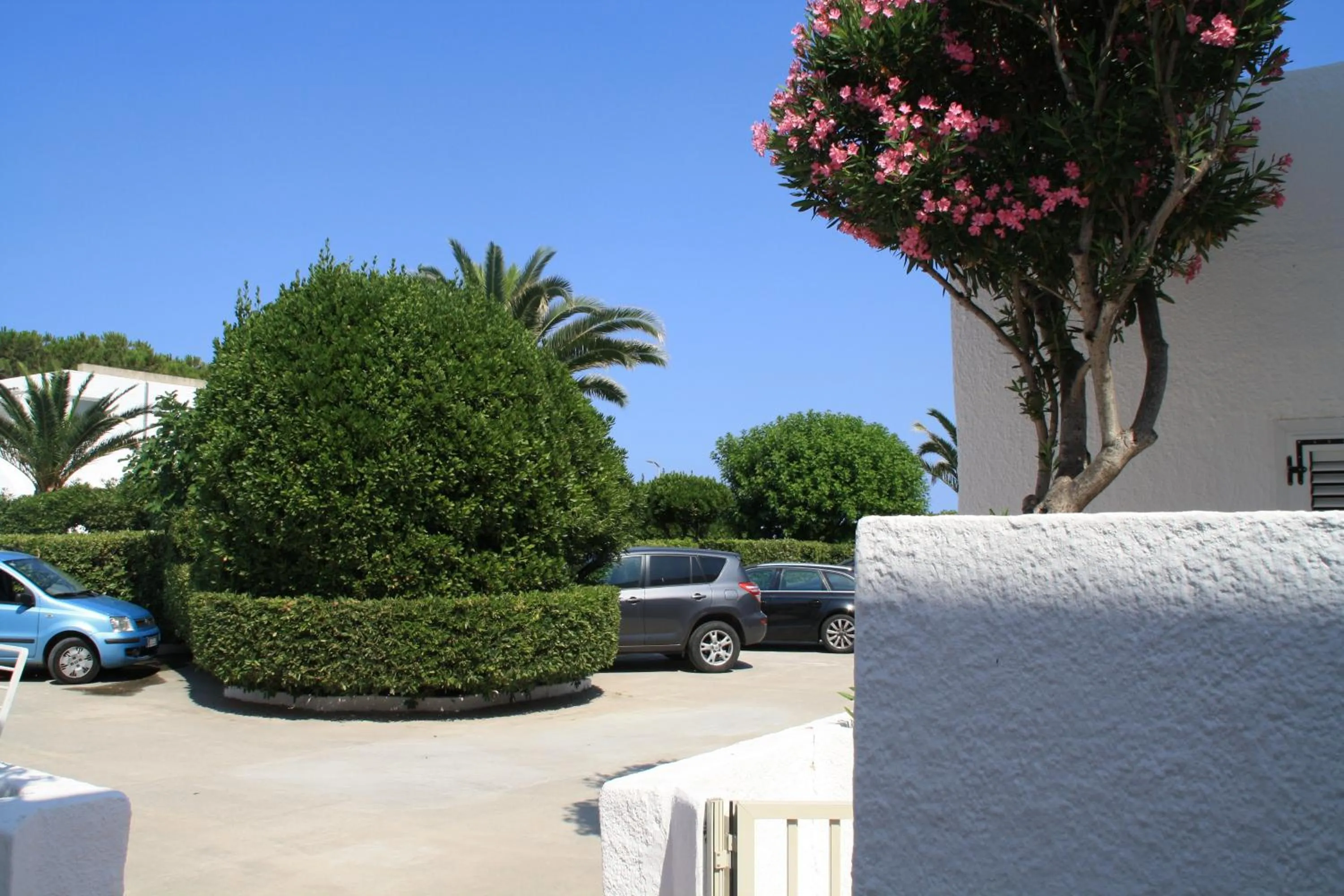 Day in Hotel Villaggio Club Altalia