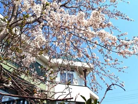 Decorative detail in Petit Resort Hotel Alcyon