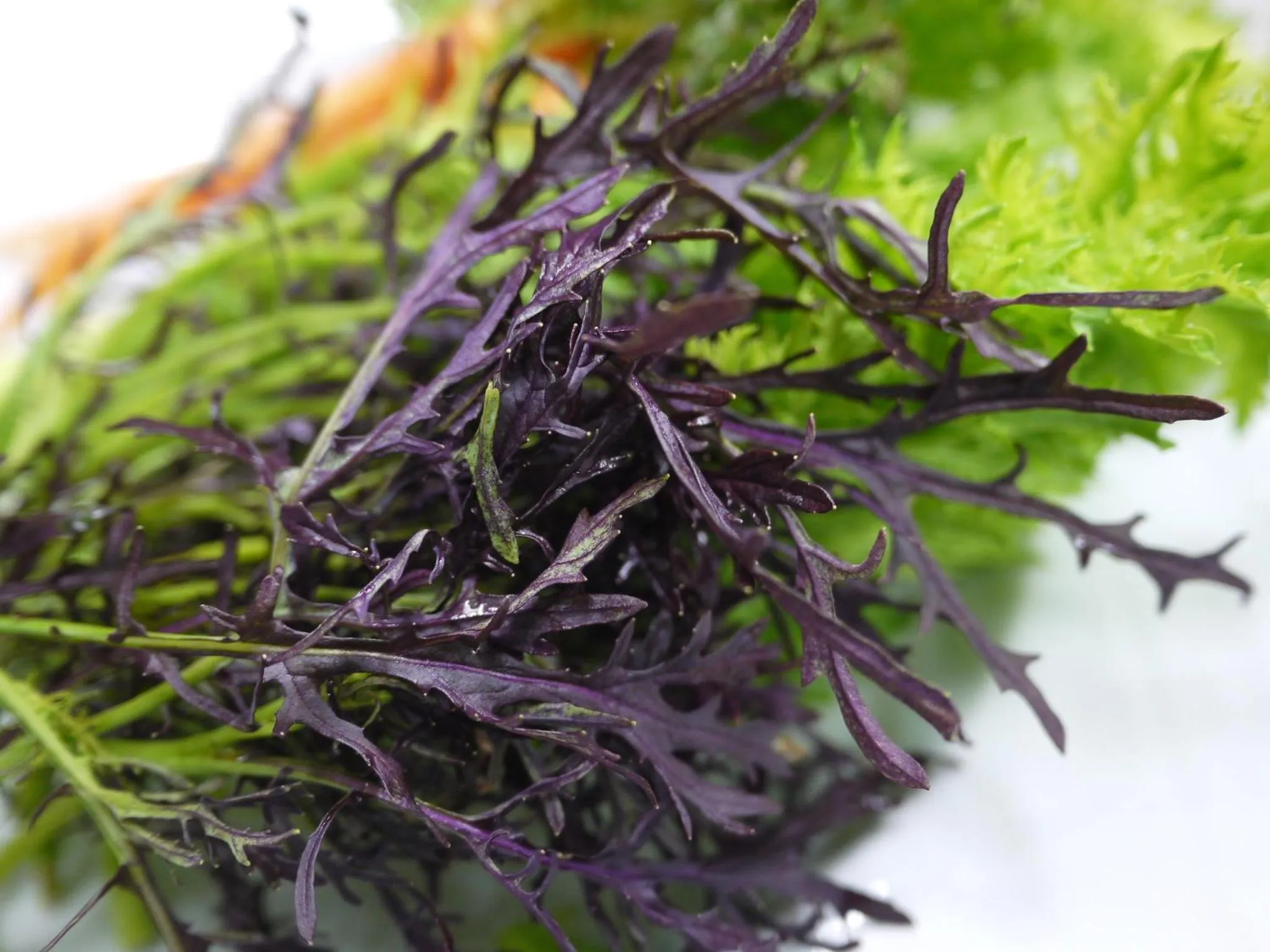 Food in Petit Resort Hotel Alcyon