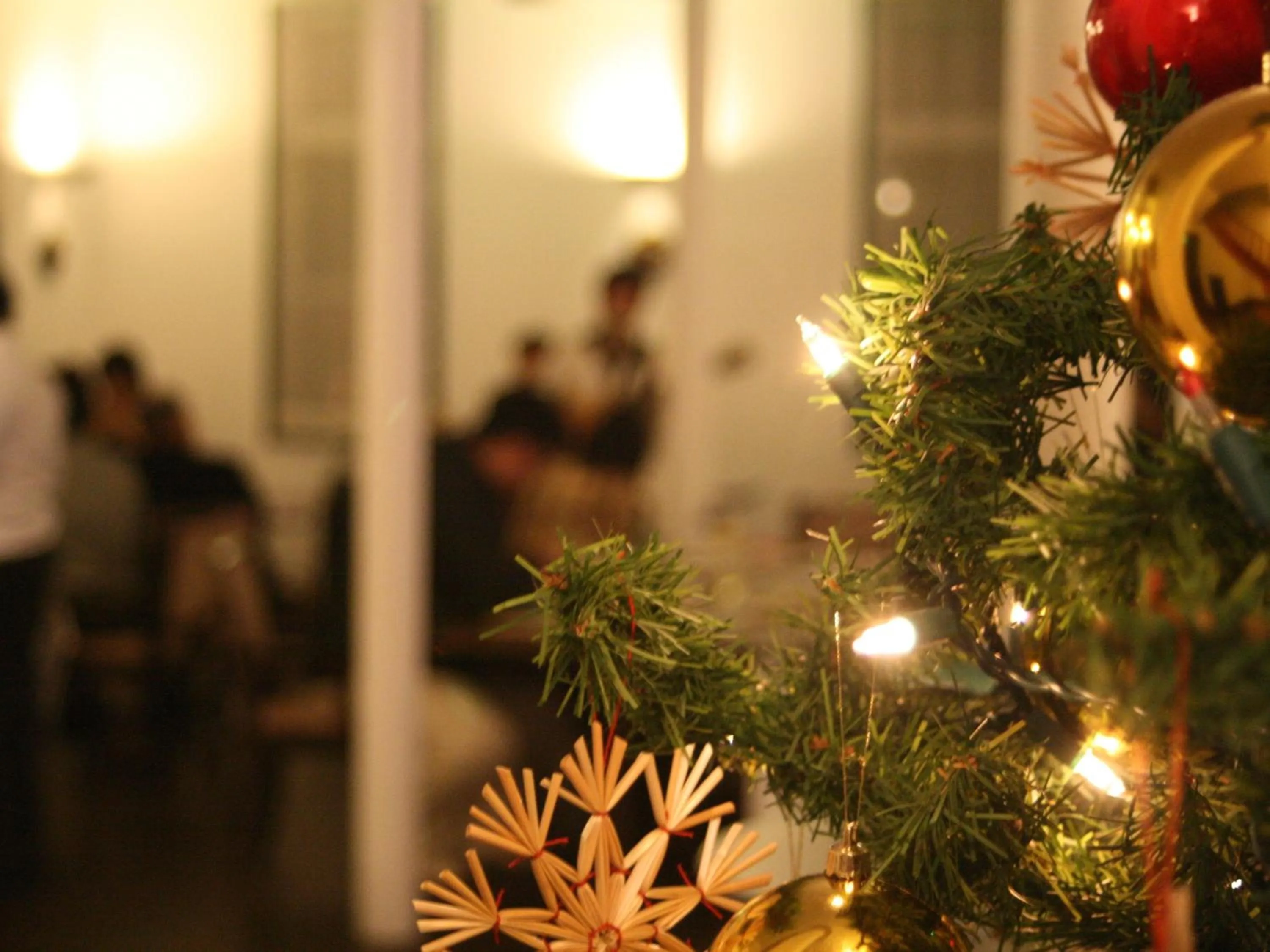 Other in Petit Resort Hotel Alcyon