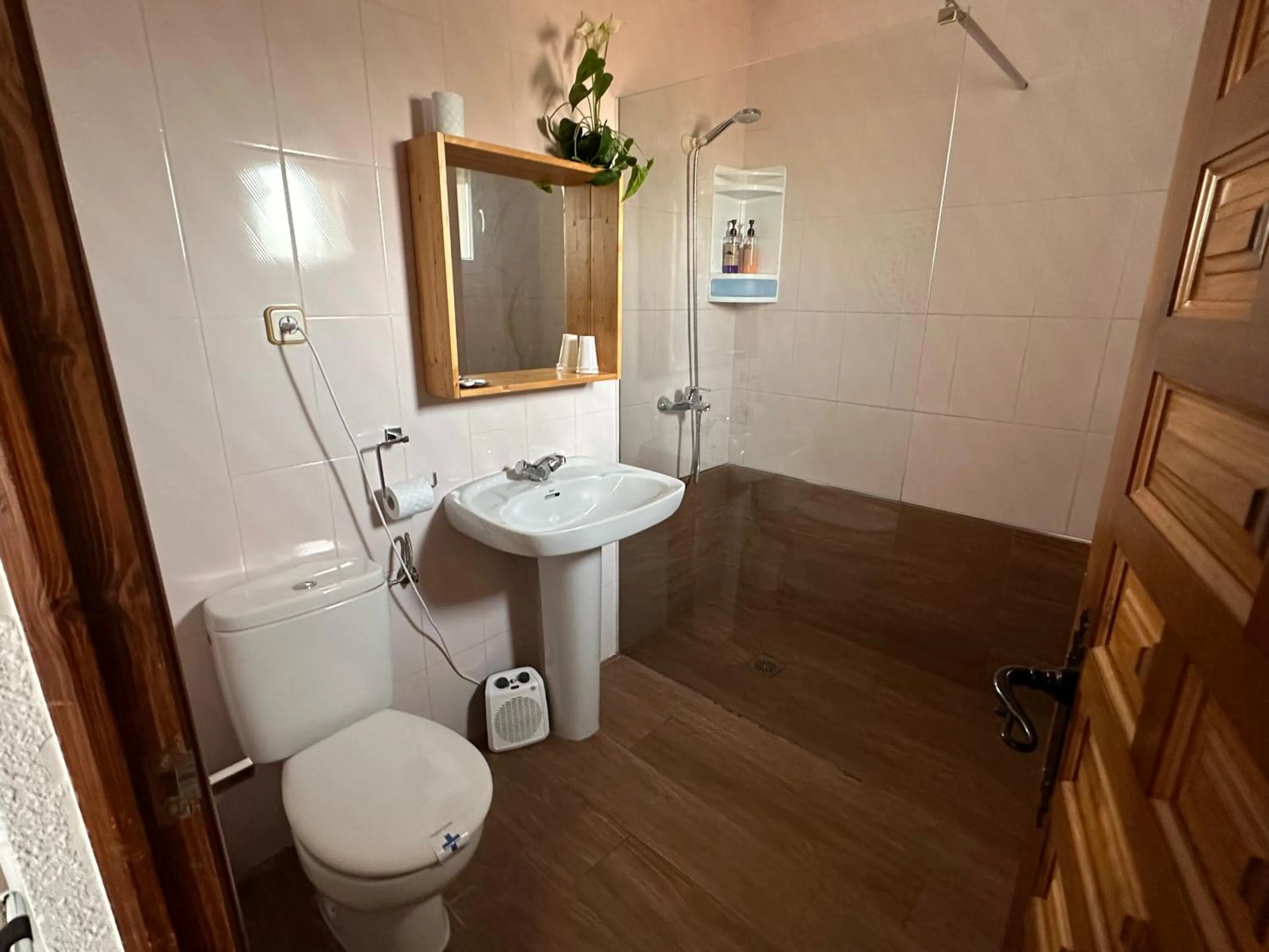 Shower in Hotel Consuegra