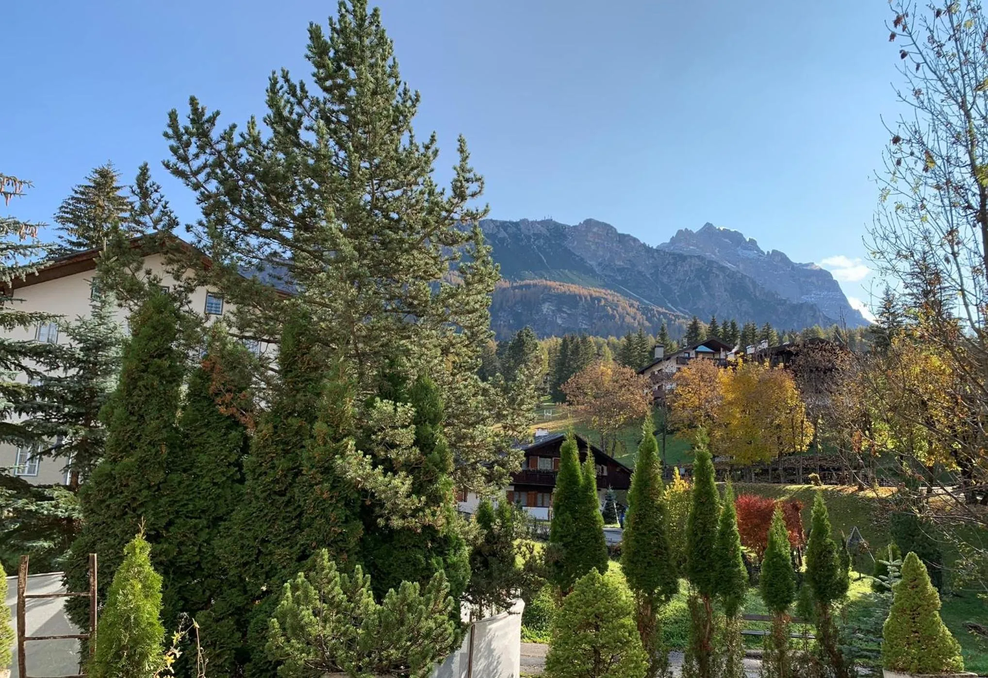 View (from property/room) in Hotel Serena Cortina