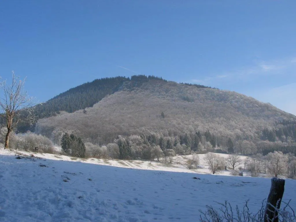 Natural landscape in Landhotel Grimmeblick