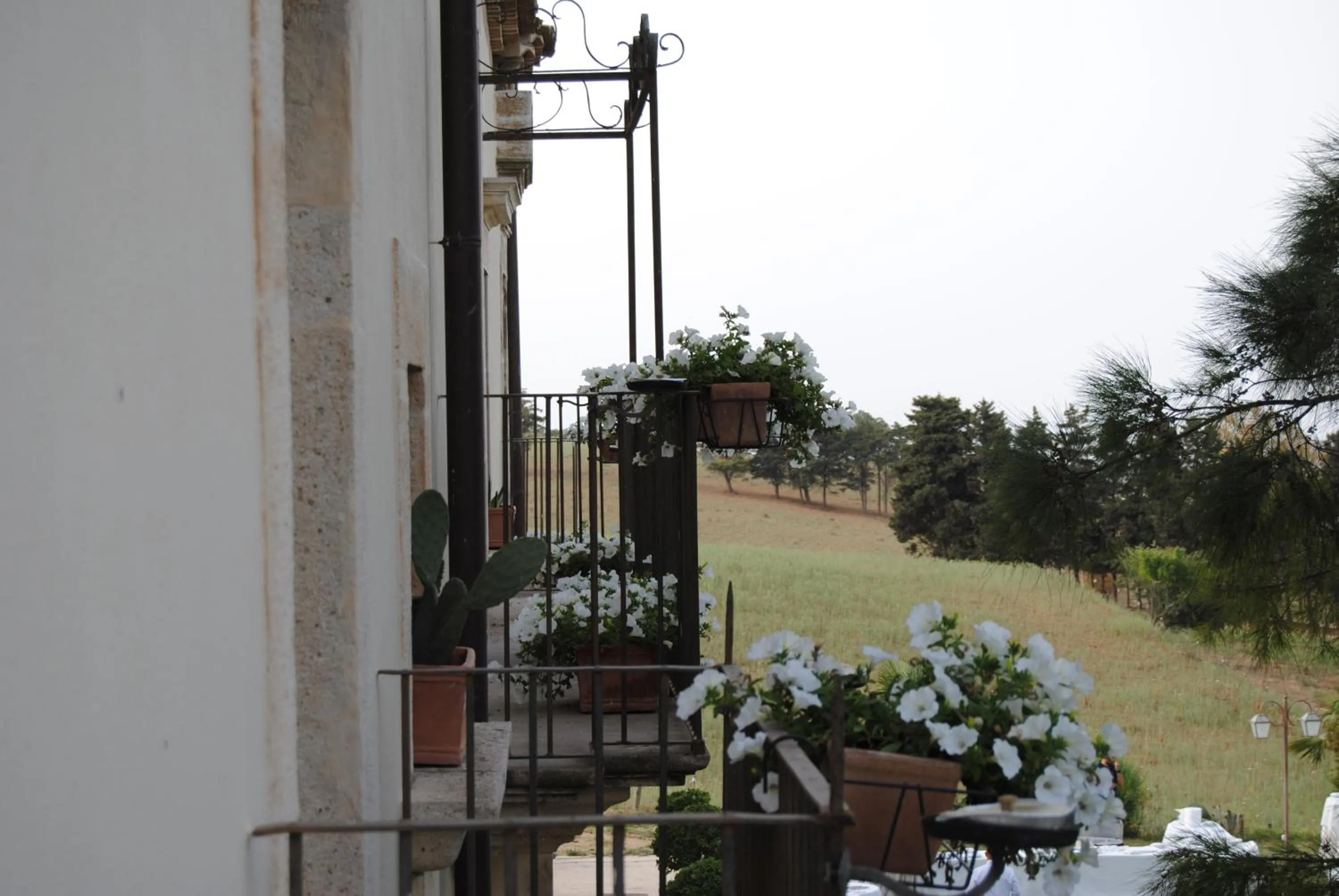 Property building in Castello Camemi