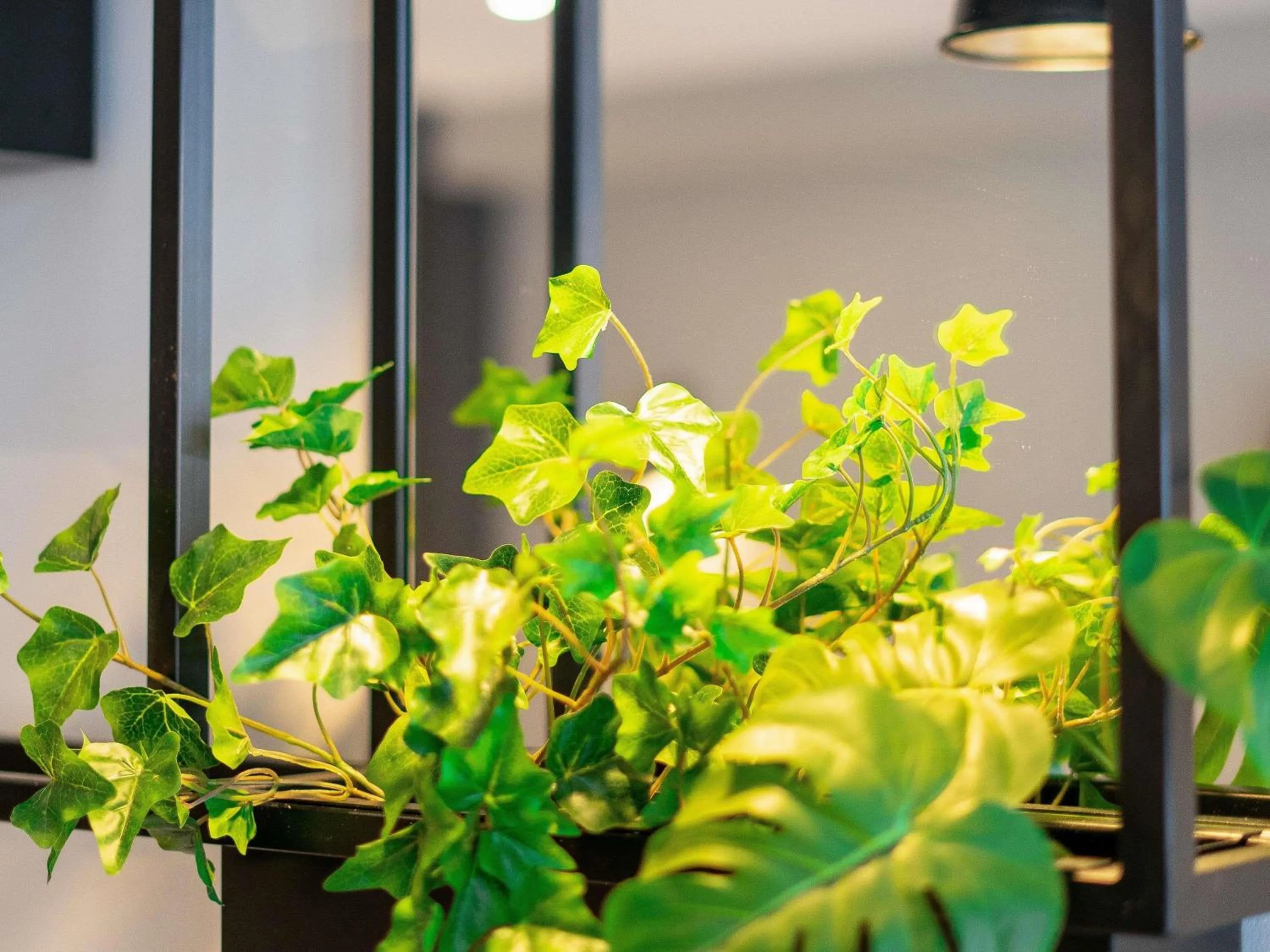 Other in Ibis Pau Centre