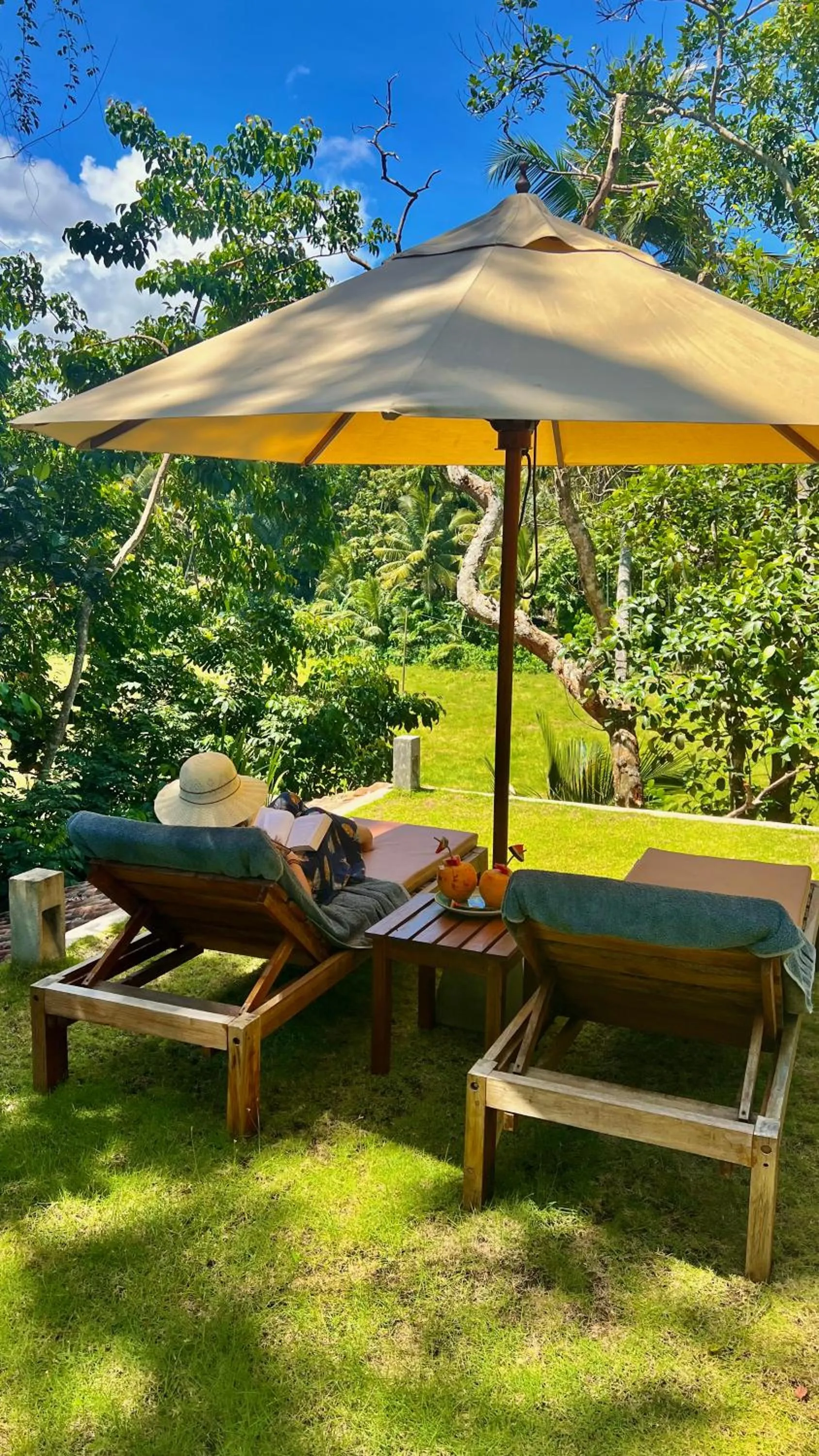 Natural landscape in The Jungle Loft Galle