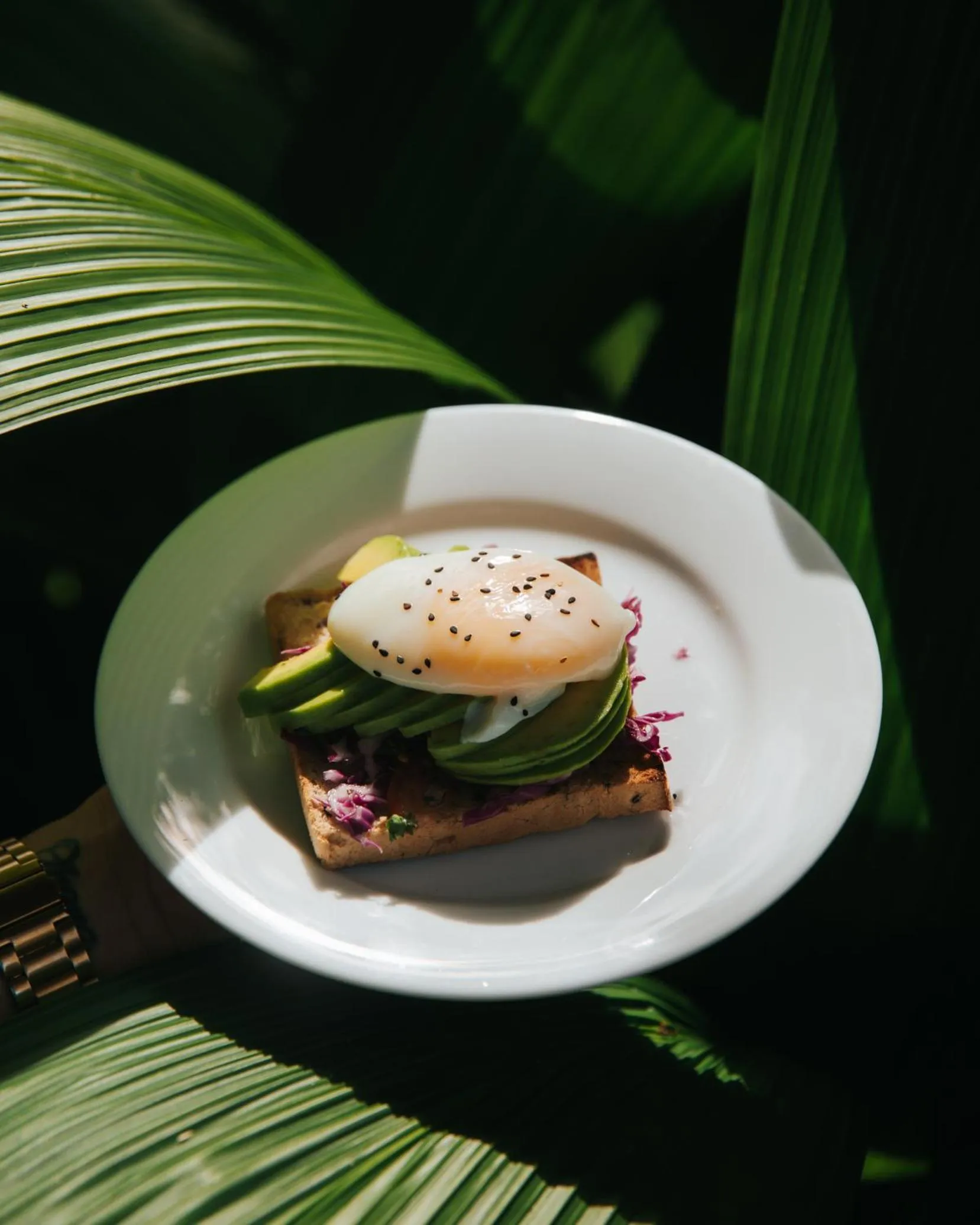 Food and drinks in The Jungle Loft Galle