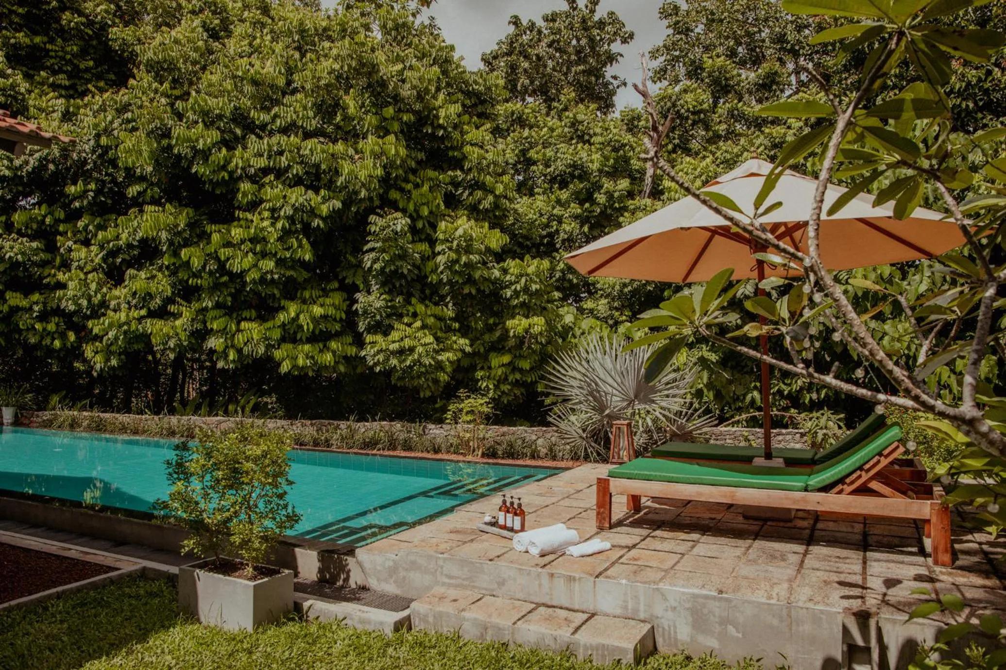 Garden in The Jungle Loft Galle