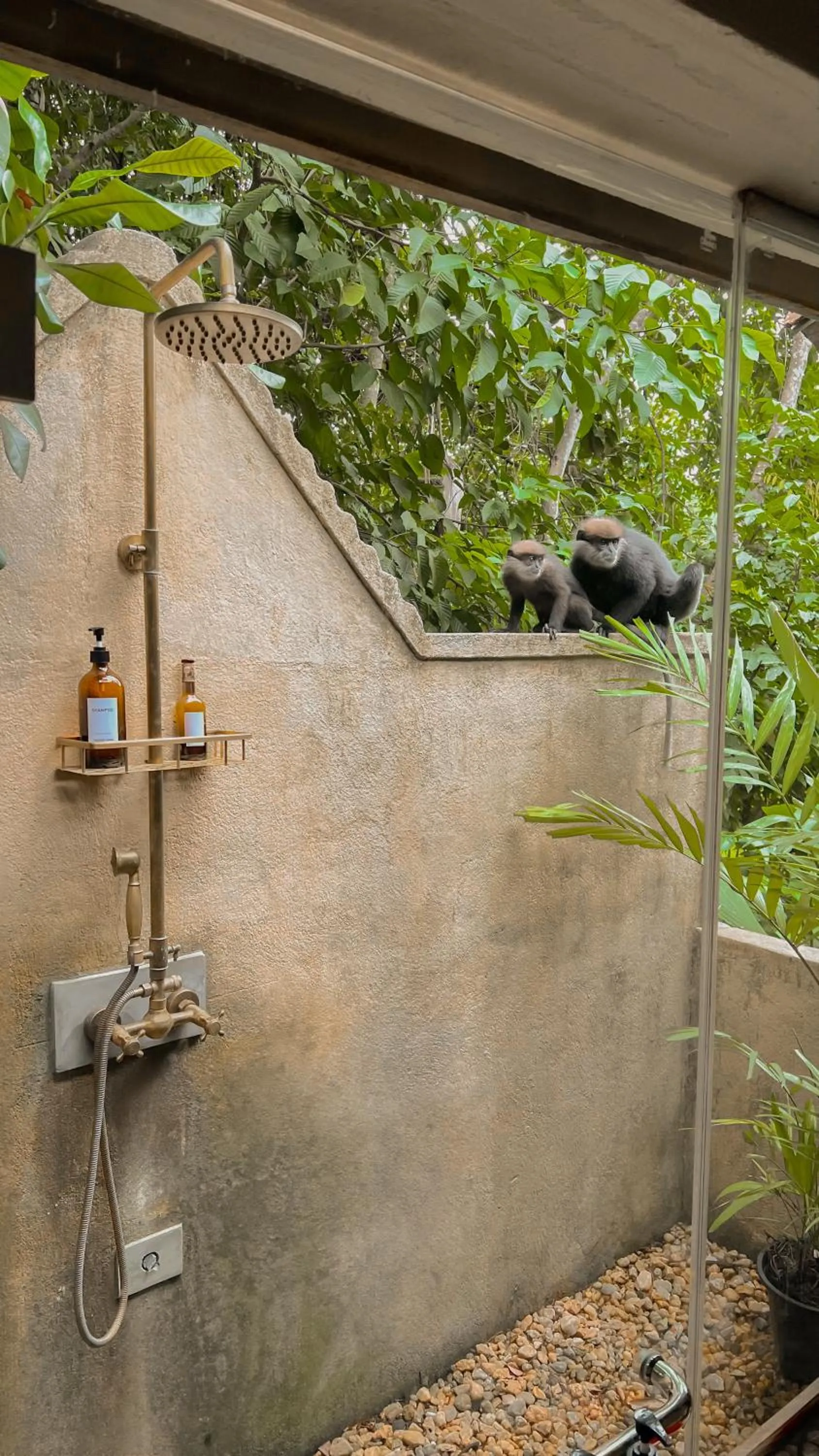 Shower in The Jungle Loft Galle