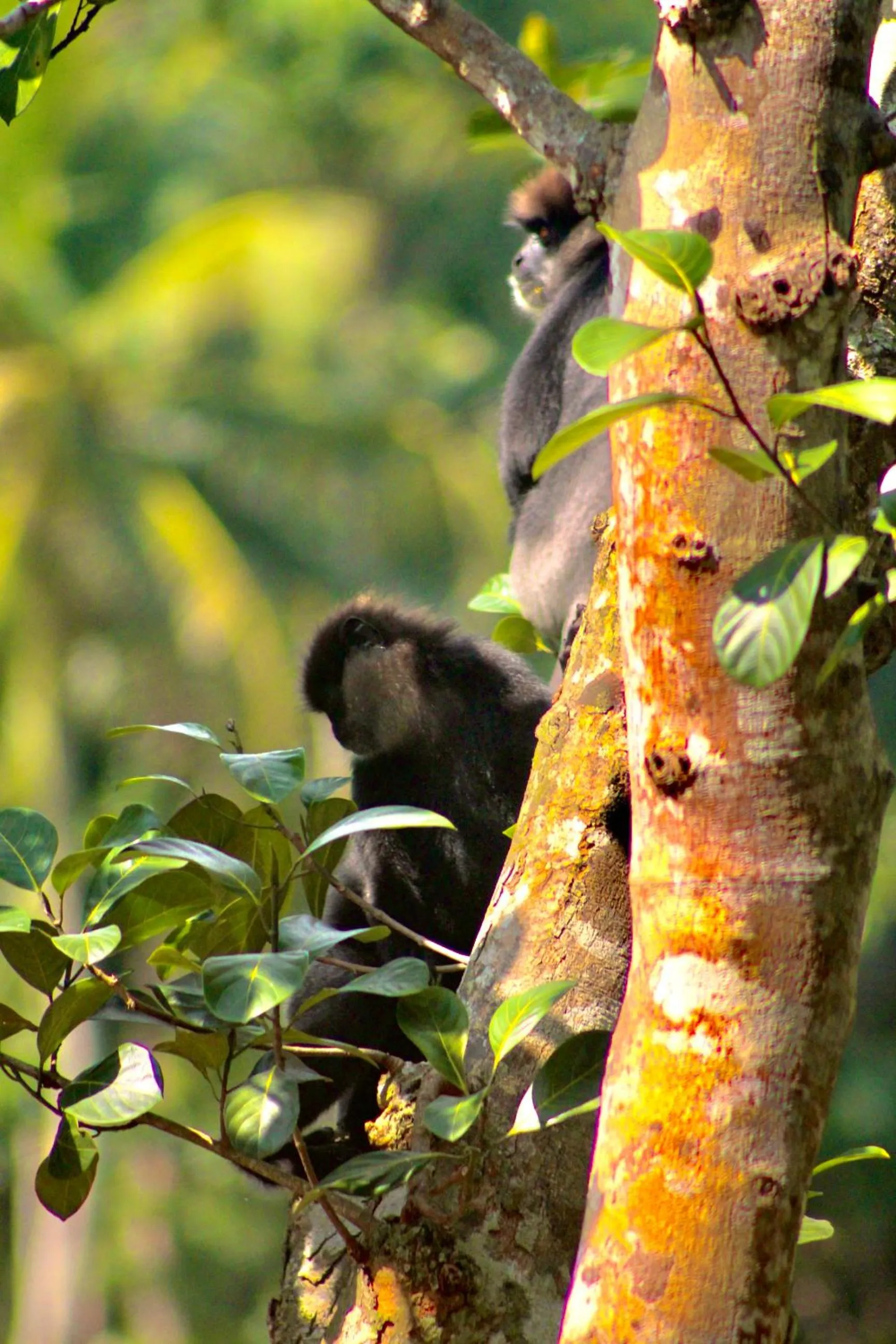 Natural landscape in The Jungle Loft Galle
