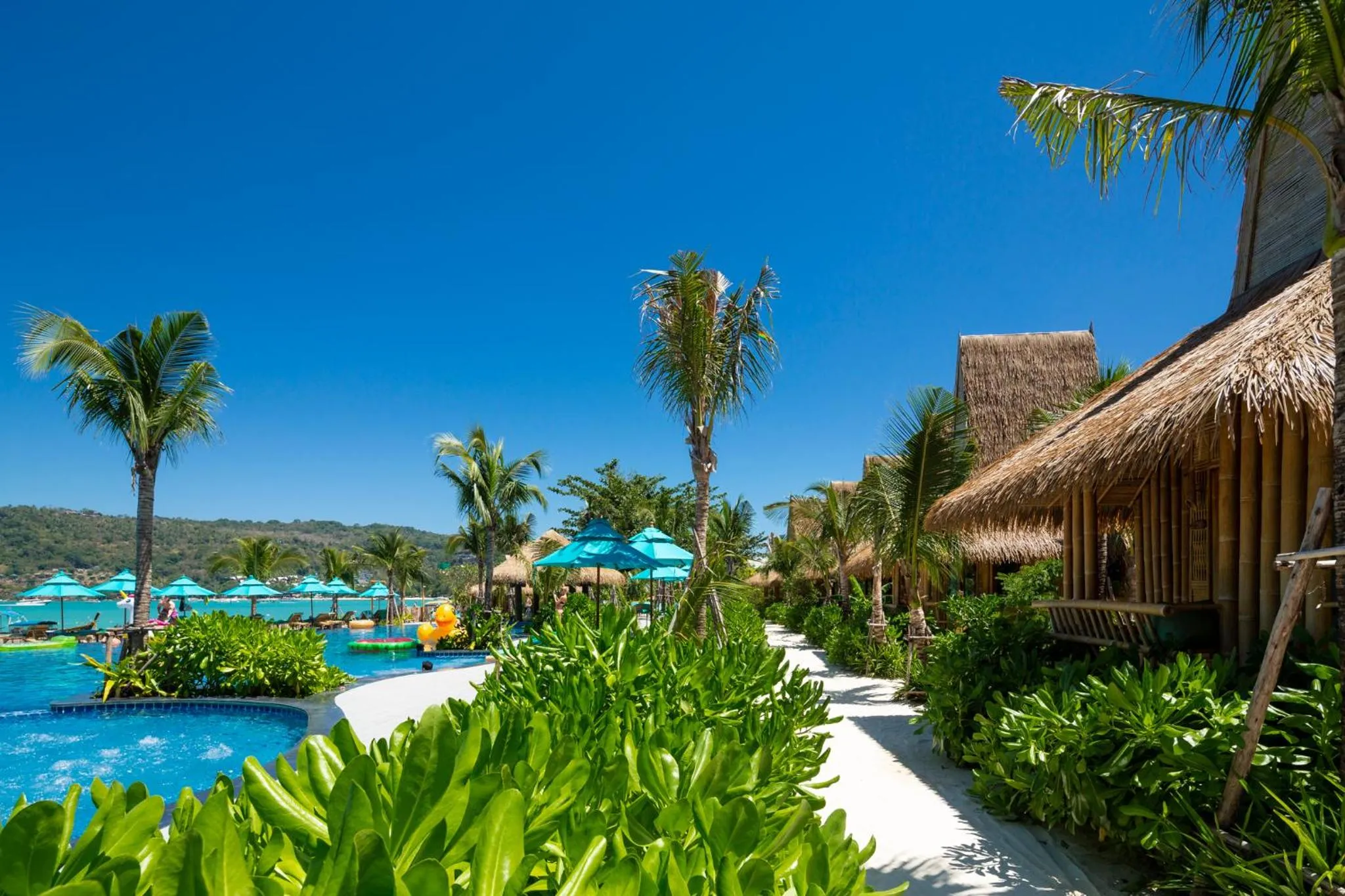 Pool view in Phi Phi CoCo Beach Resort