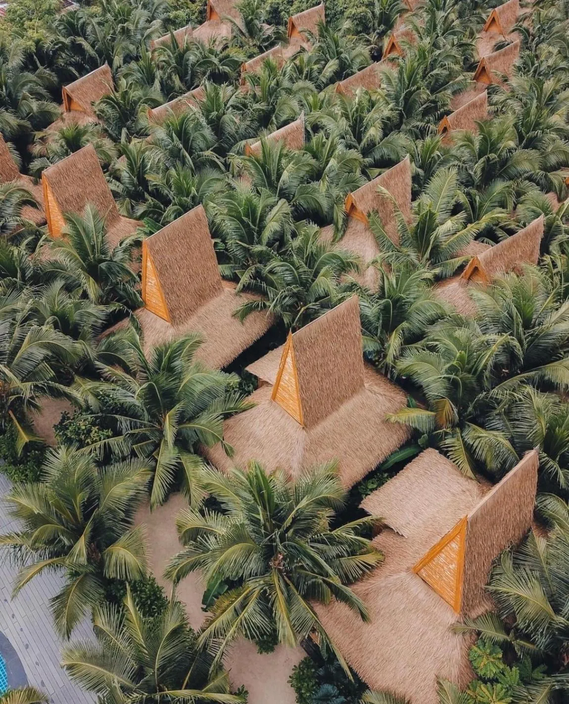 Property building in Phi Phi CoCo Beach Resort