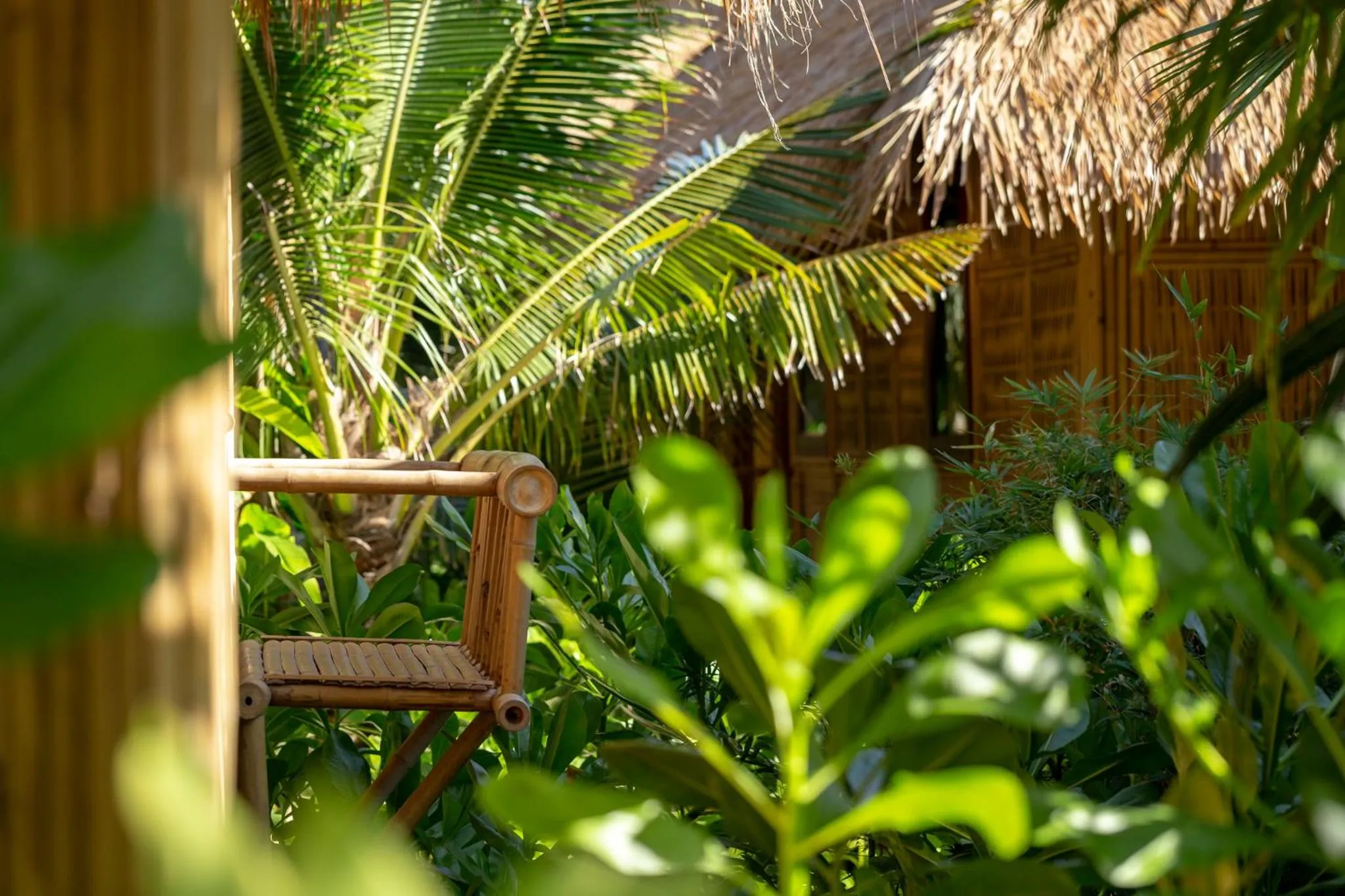 Garden view in Phi Phi CoCo Beach Resort