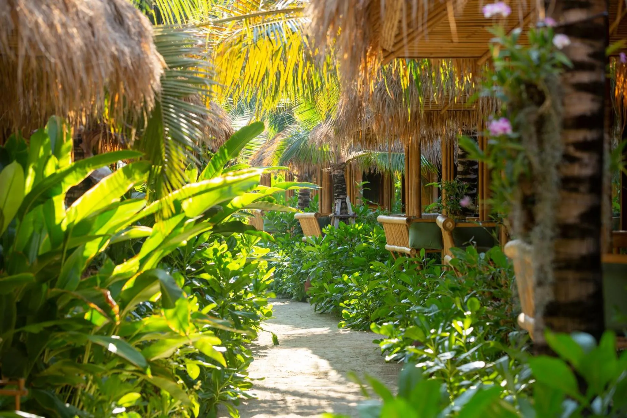 Garden view in Phi Phi CoCo Beach Resort