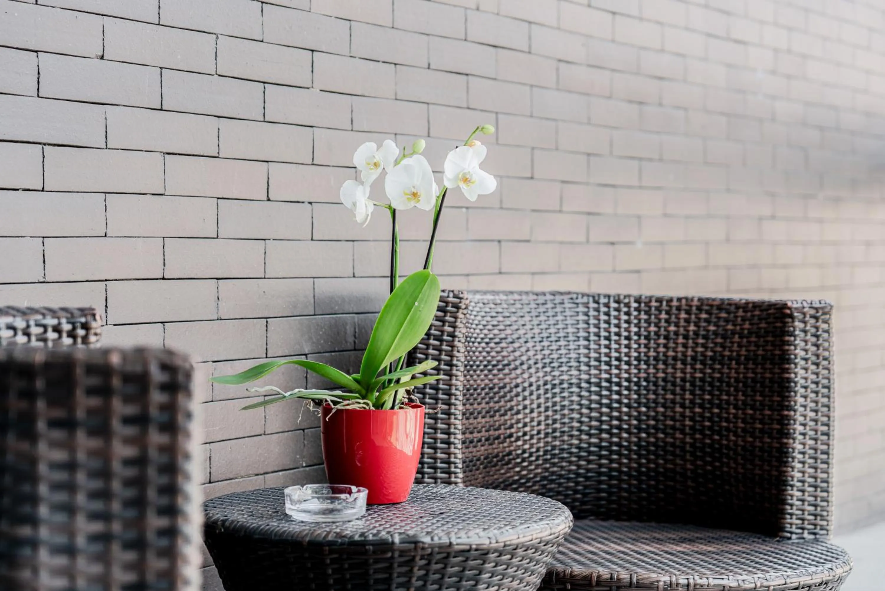 Balcony/Terrace in Hotel Milano Navigli