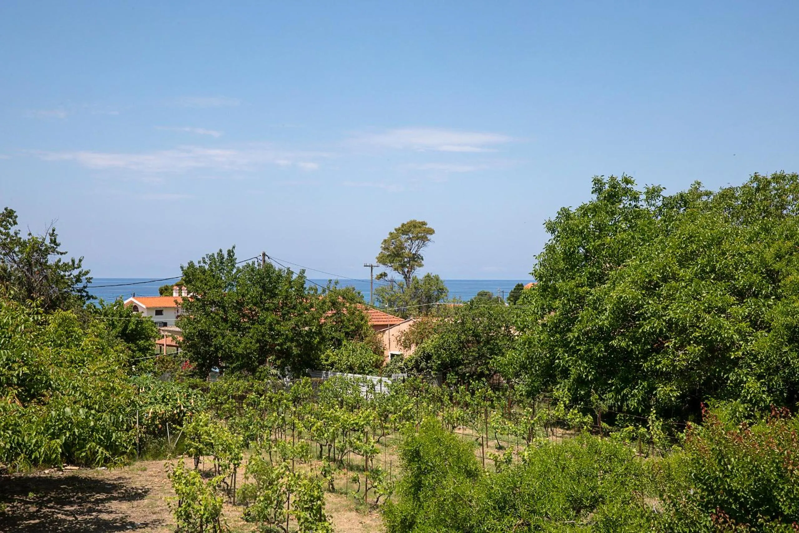 Irini Apartments and Studios