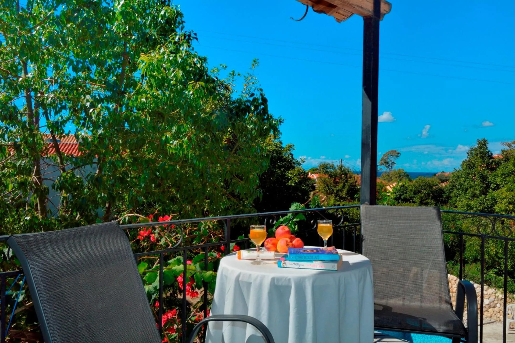 Balcony/Terrace in Irini Apartments and Studios