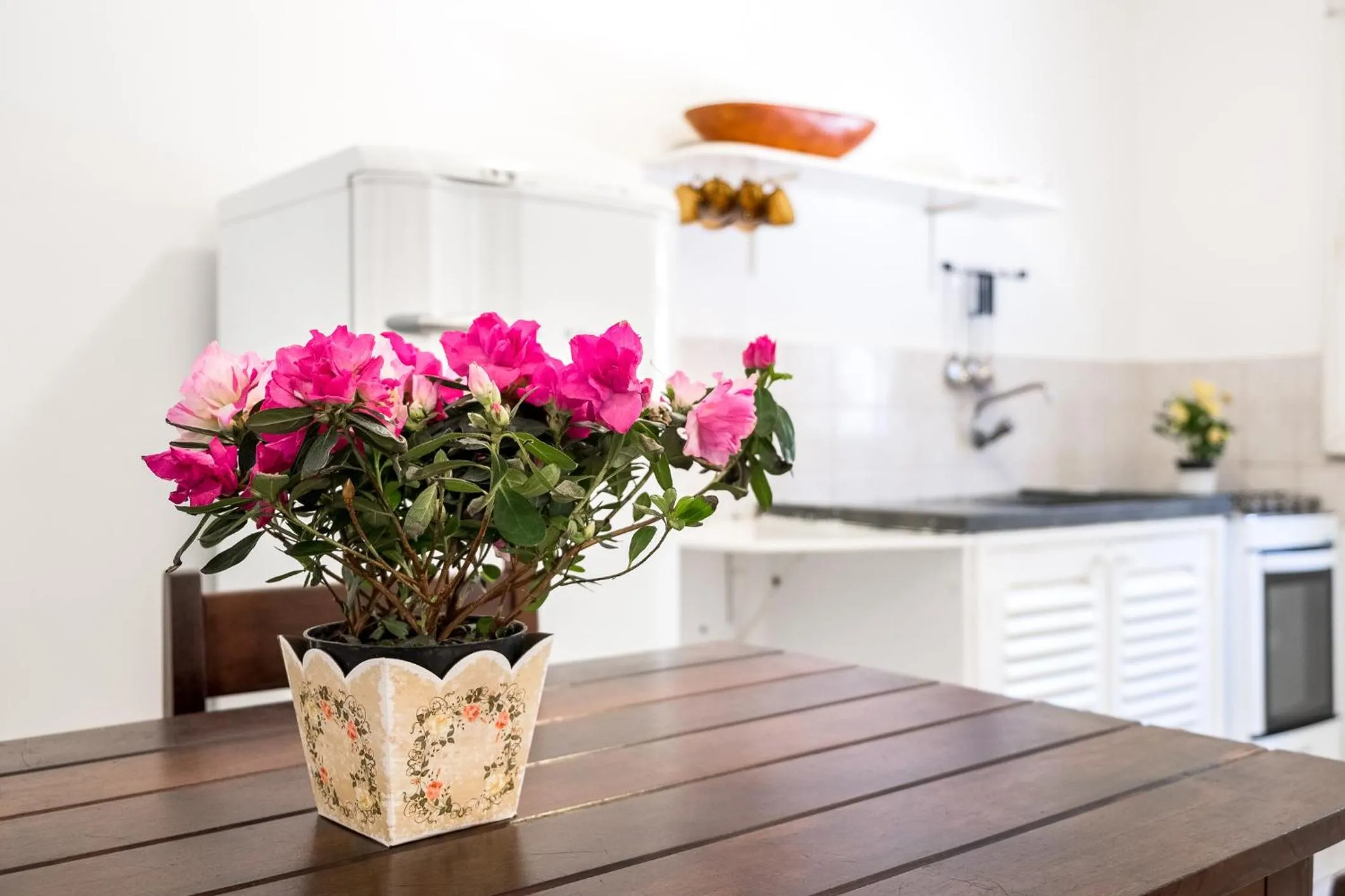 Kitchen or kitchenette in Pousada Sanremo Inn