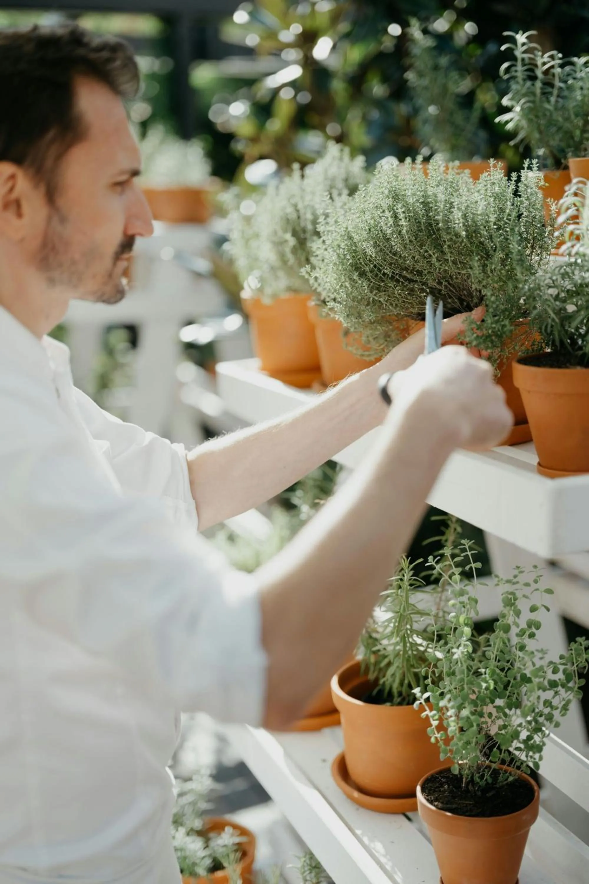 Restaurant/places to eat in JW Marriott Bucharest Grand Hotel