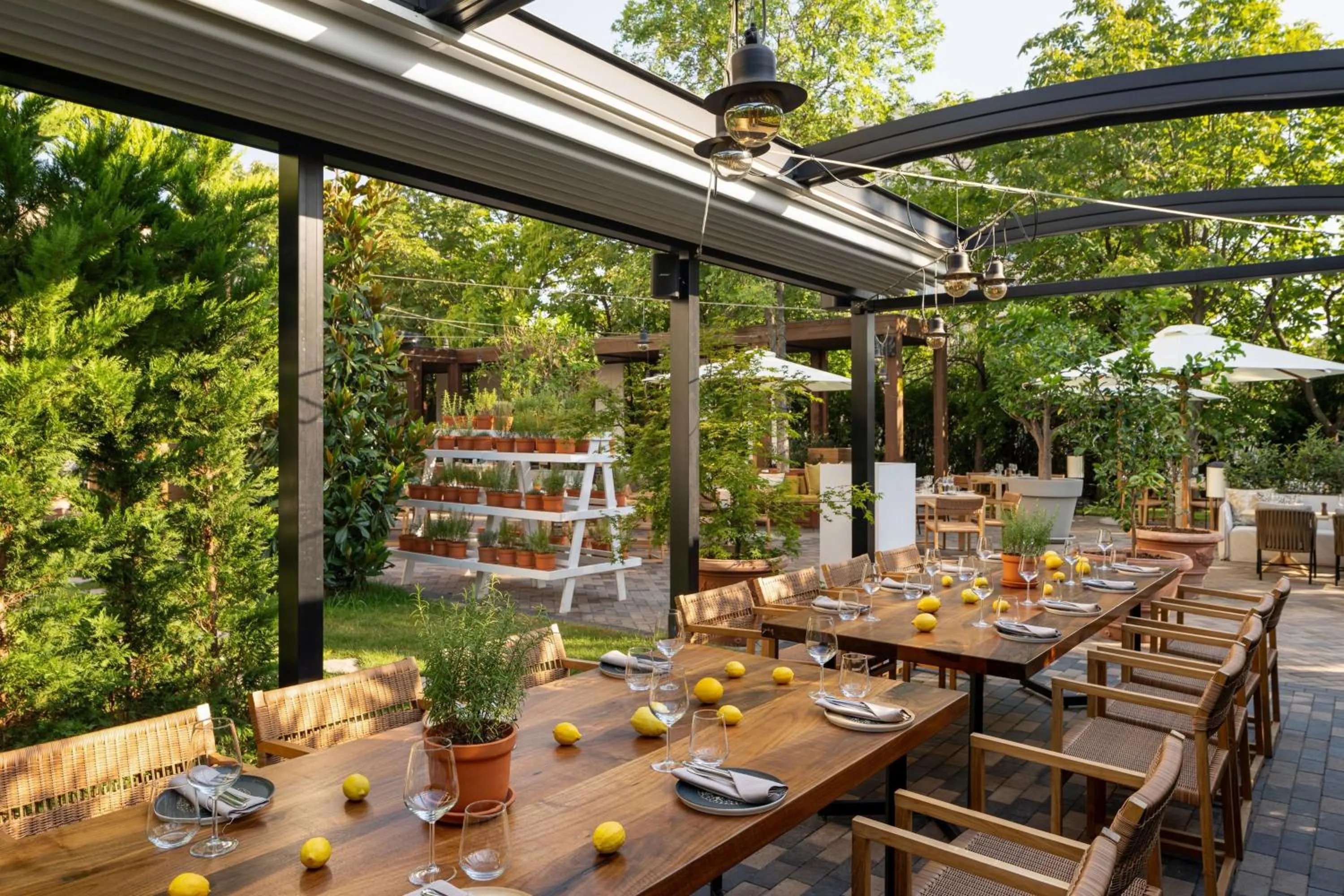 Restaurant/places to eat in JW Marriott Bucharest Grand Hotel