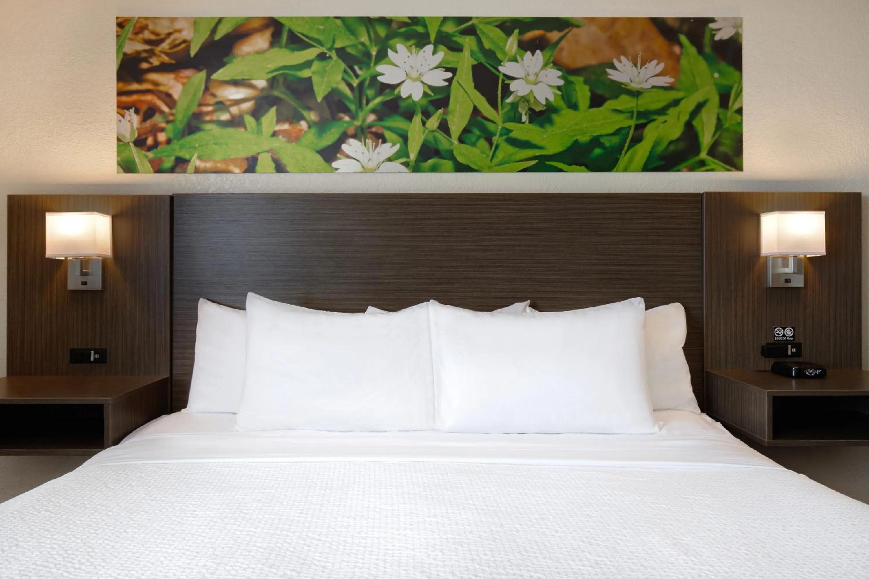 Bed in Days Inn & Conference Centre by Wyndham Prince Albert