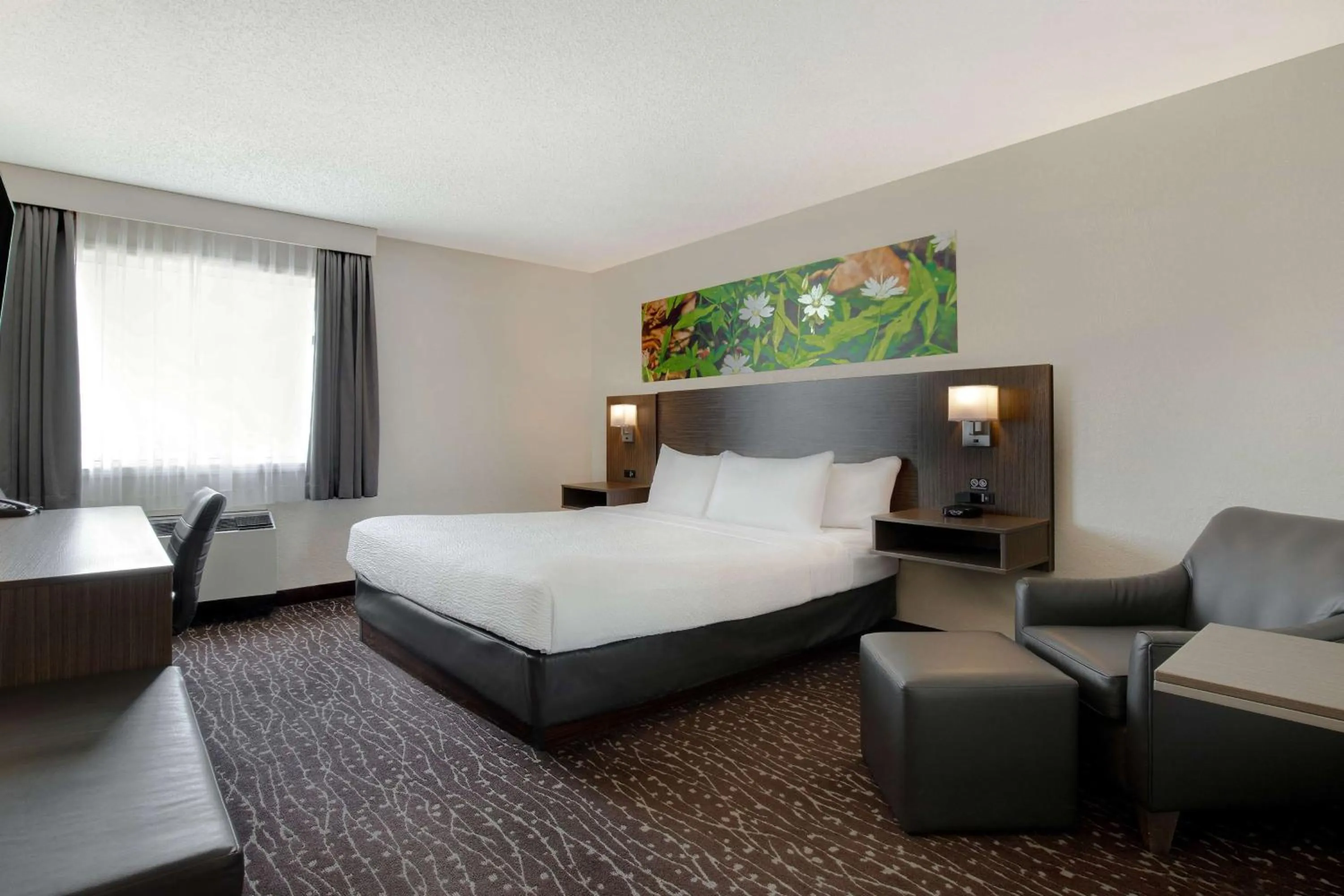 Photo of the whole room, Bed in Days Inn & Conference Centre by Wyndham Prince Albert