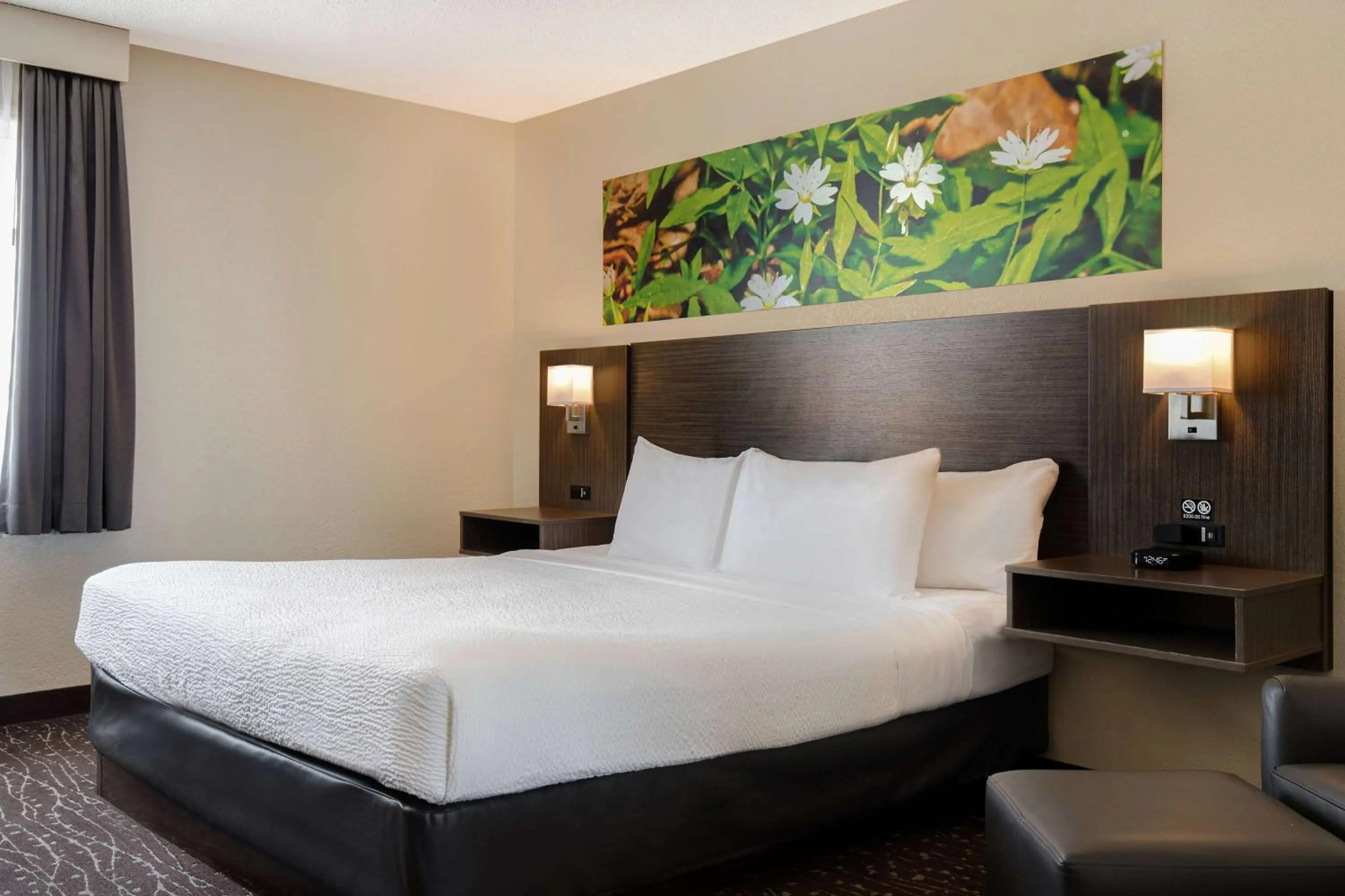 Photo of the whole room, Bed in Days Inn & Conference Centre by Wyndham Prince Albert