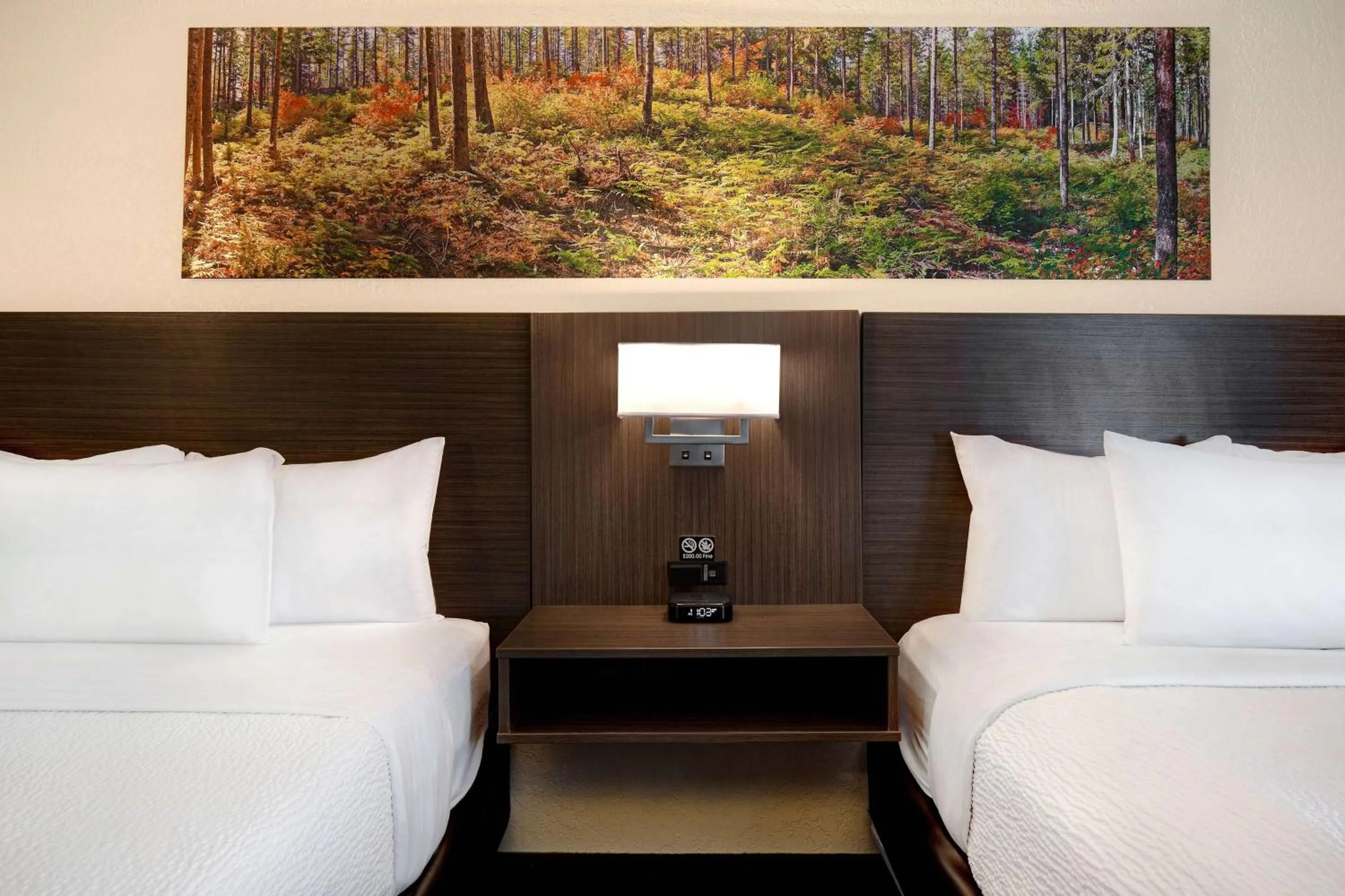 Photo of the whole room, Bed in Days Inn & Conference Centre by Wyndham Prince Albert