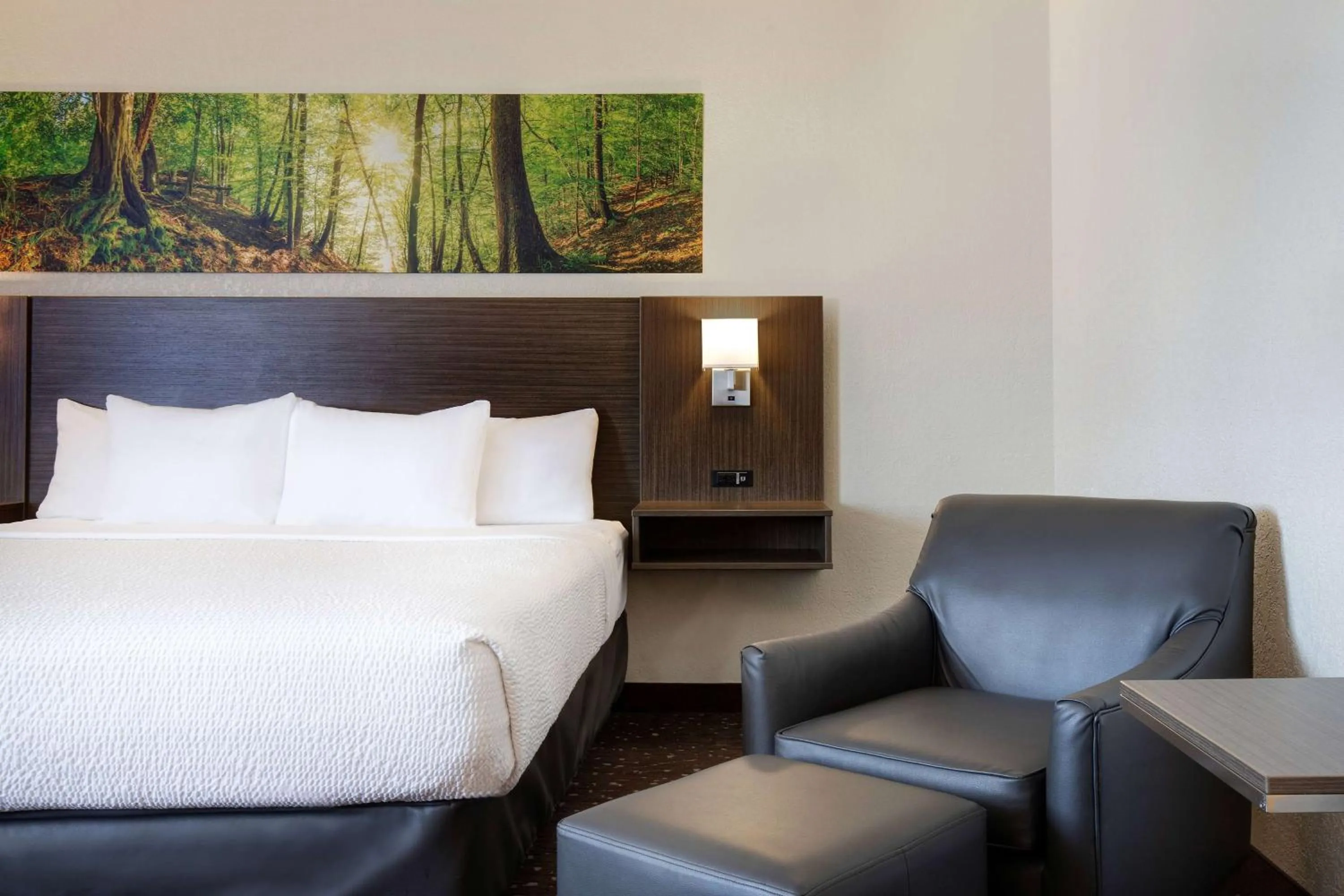 Photo of the whole room, Bed in Days Inn & Conference Centre by Wyndham Prince Albert