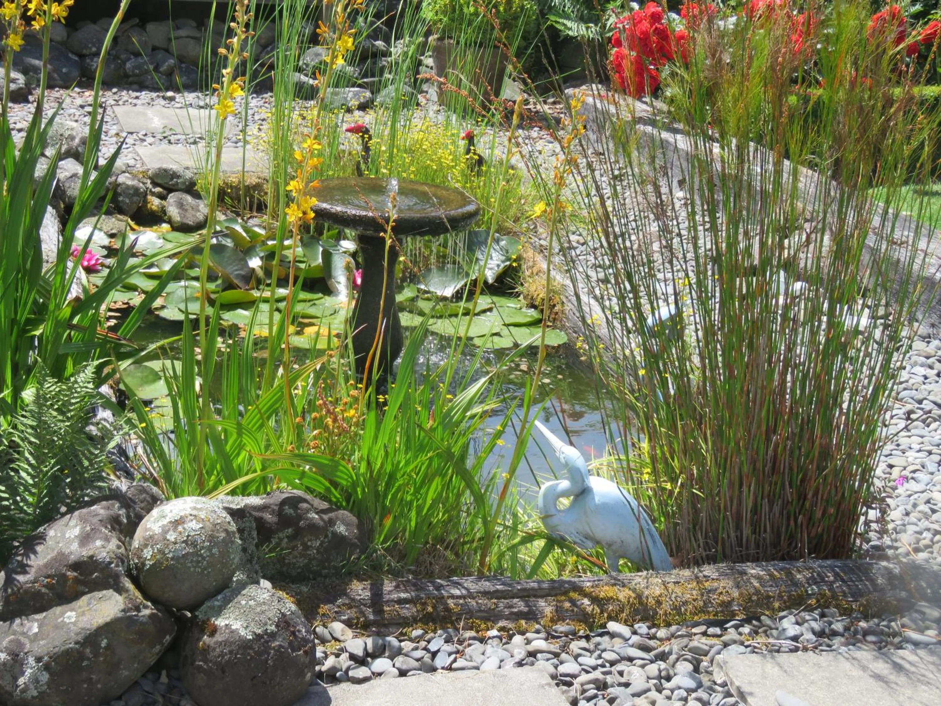 On site in Marchmont Gardens