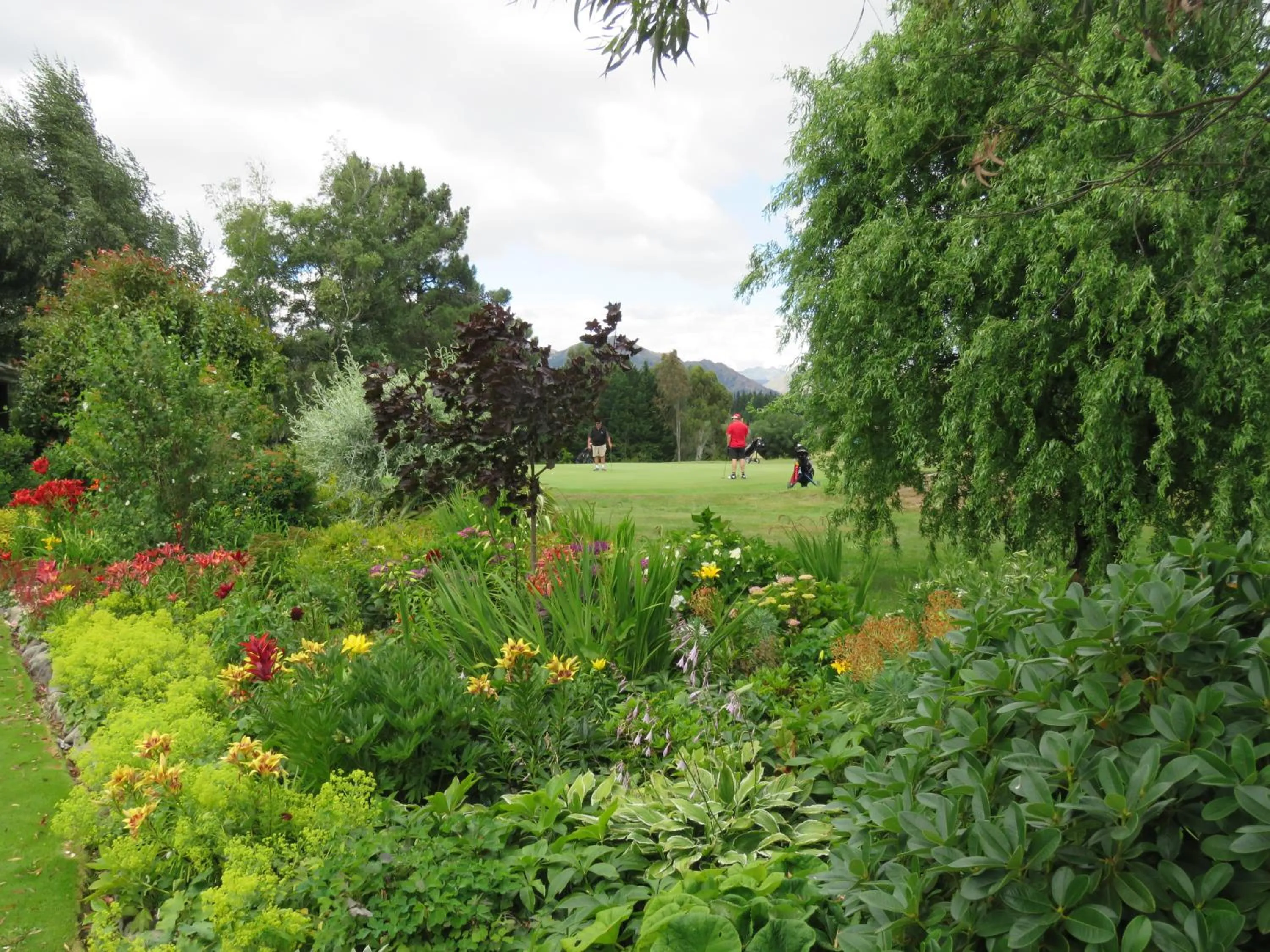 On site in Marchmont Gardens