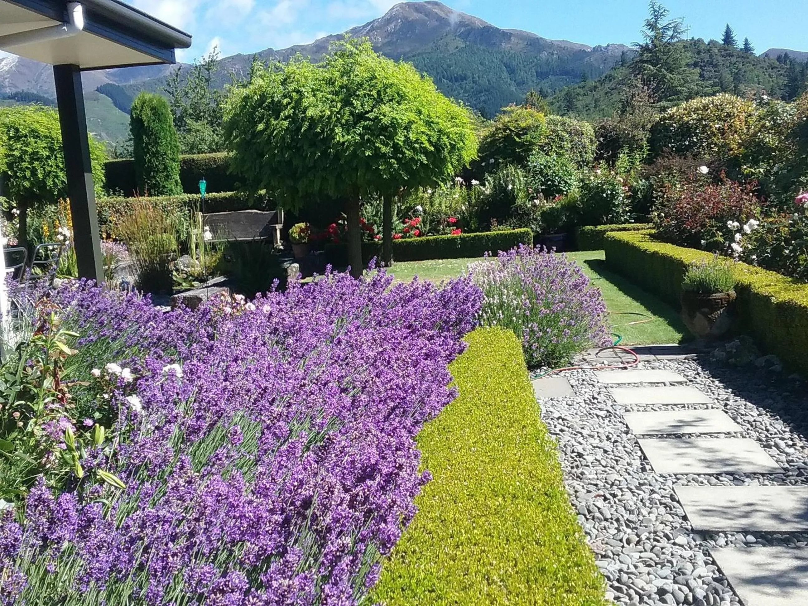 On site in Marchmont Gardens