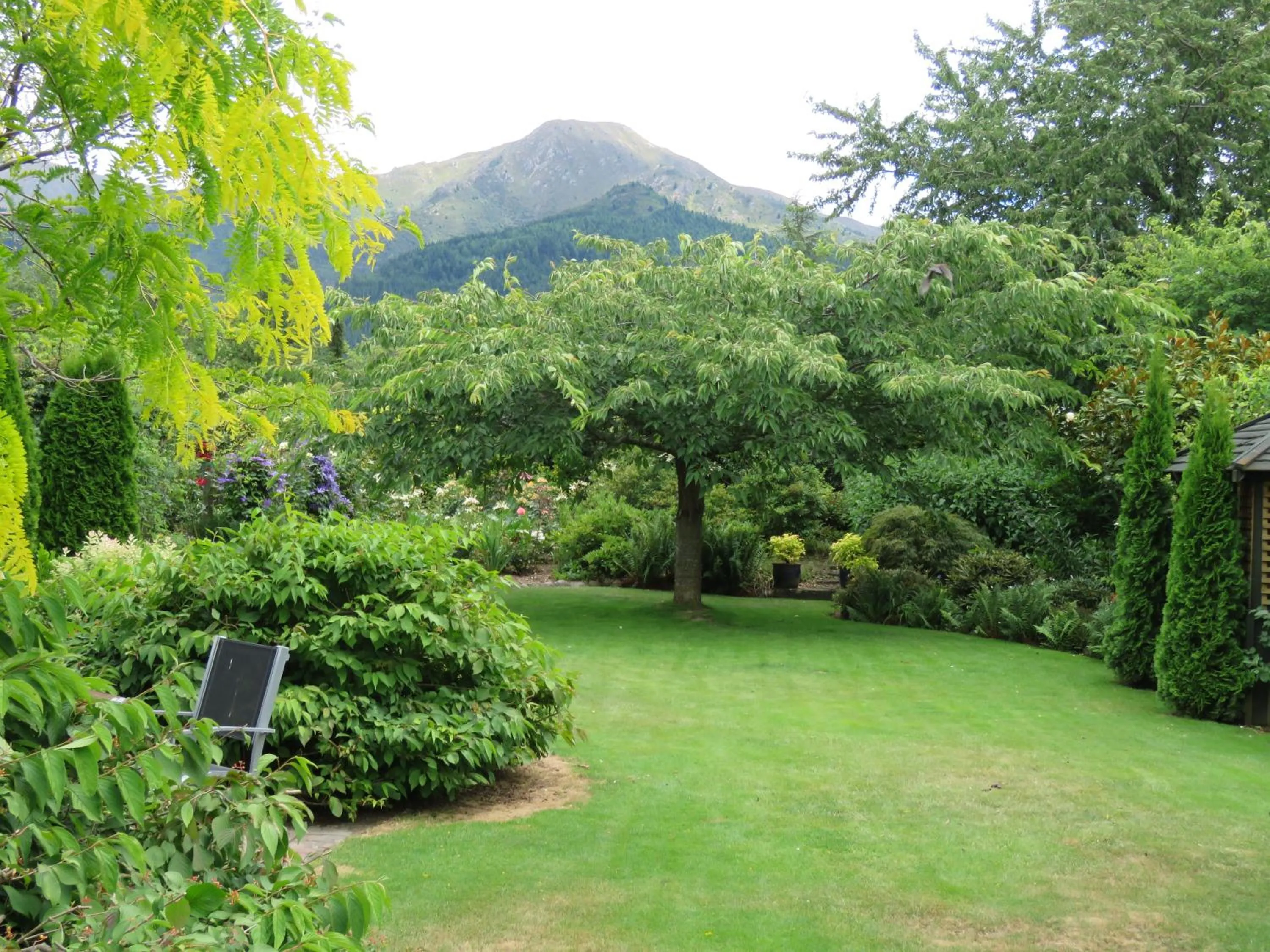 Garden view in Marchmont Gardens