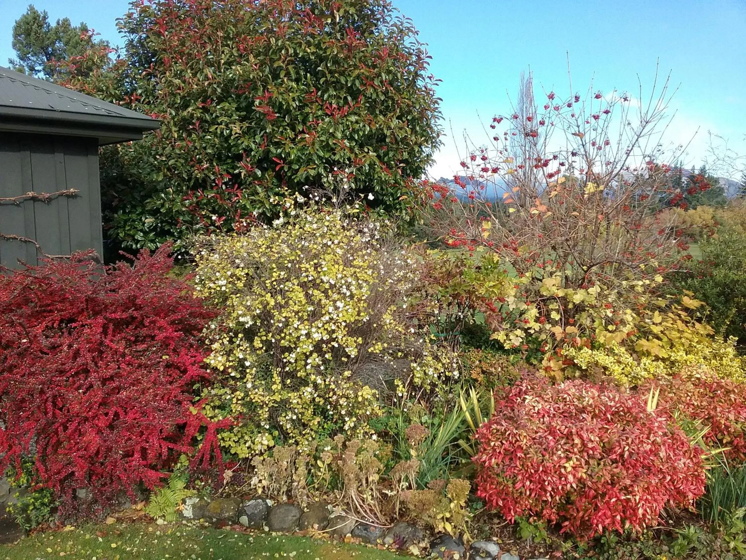 On site in Marchmont Gardens