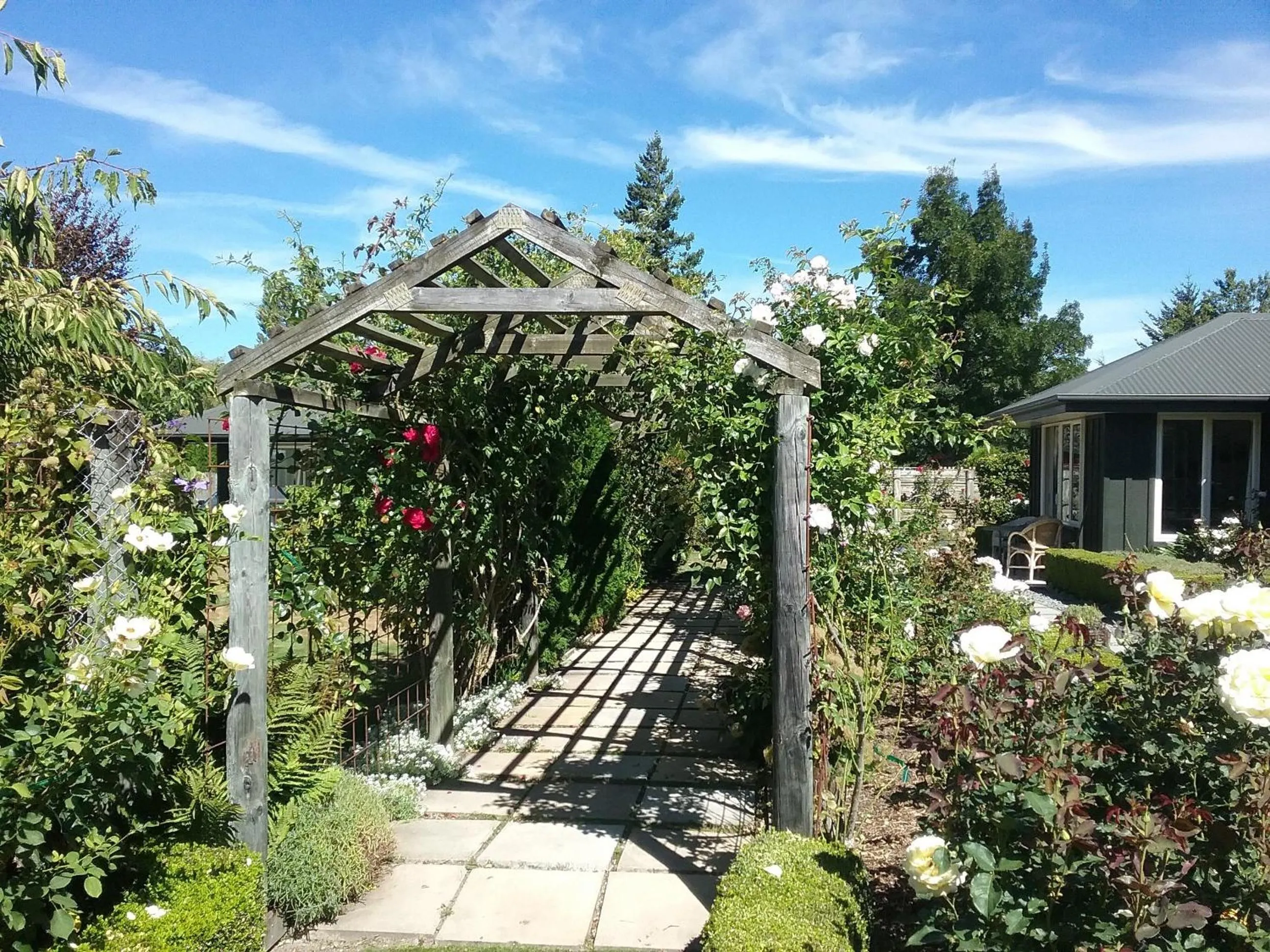 On site in Marchmont Gardens