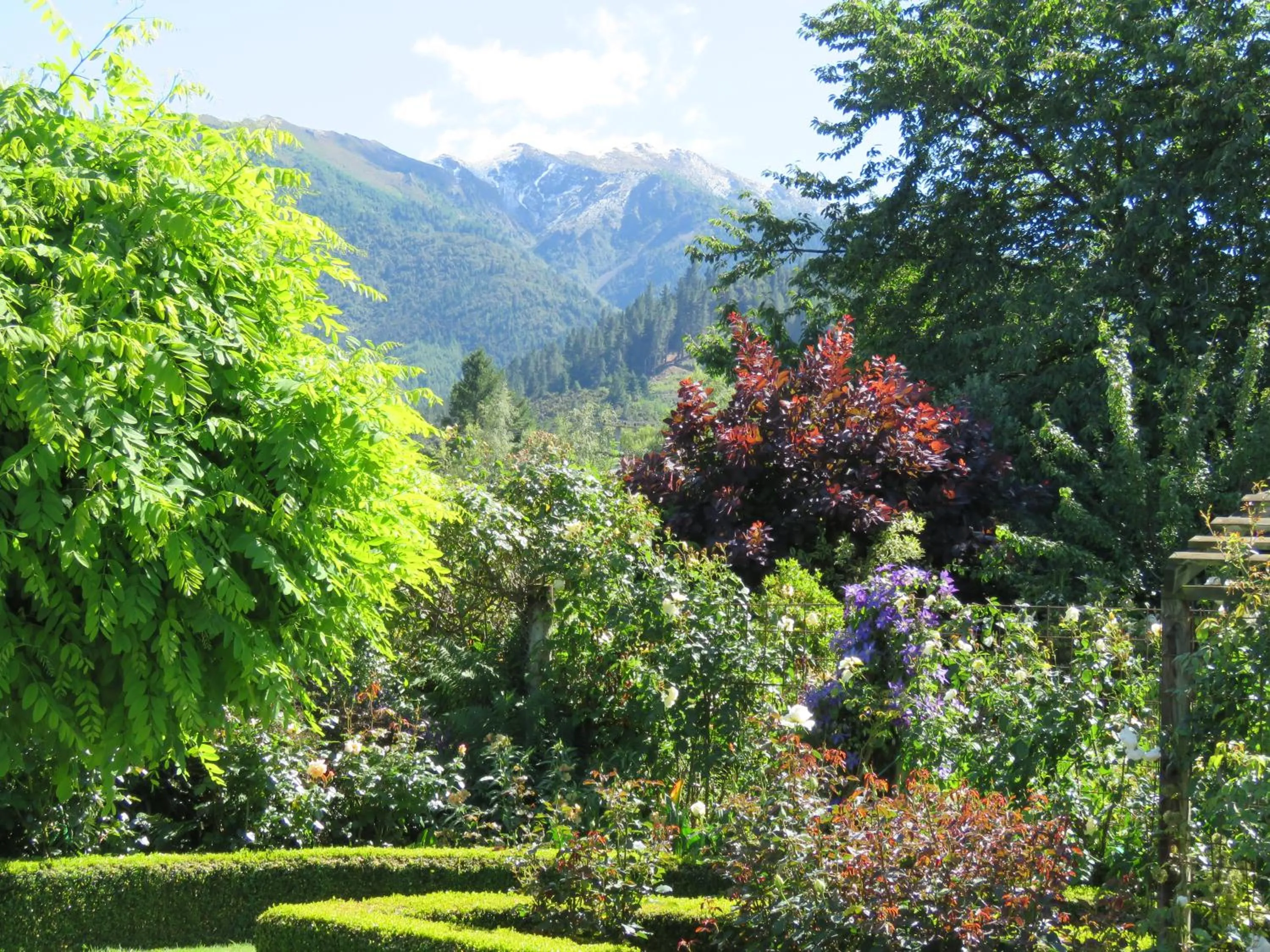 Garden view in Marchmont Gardens