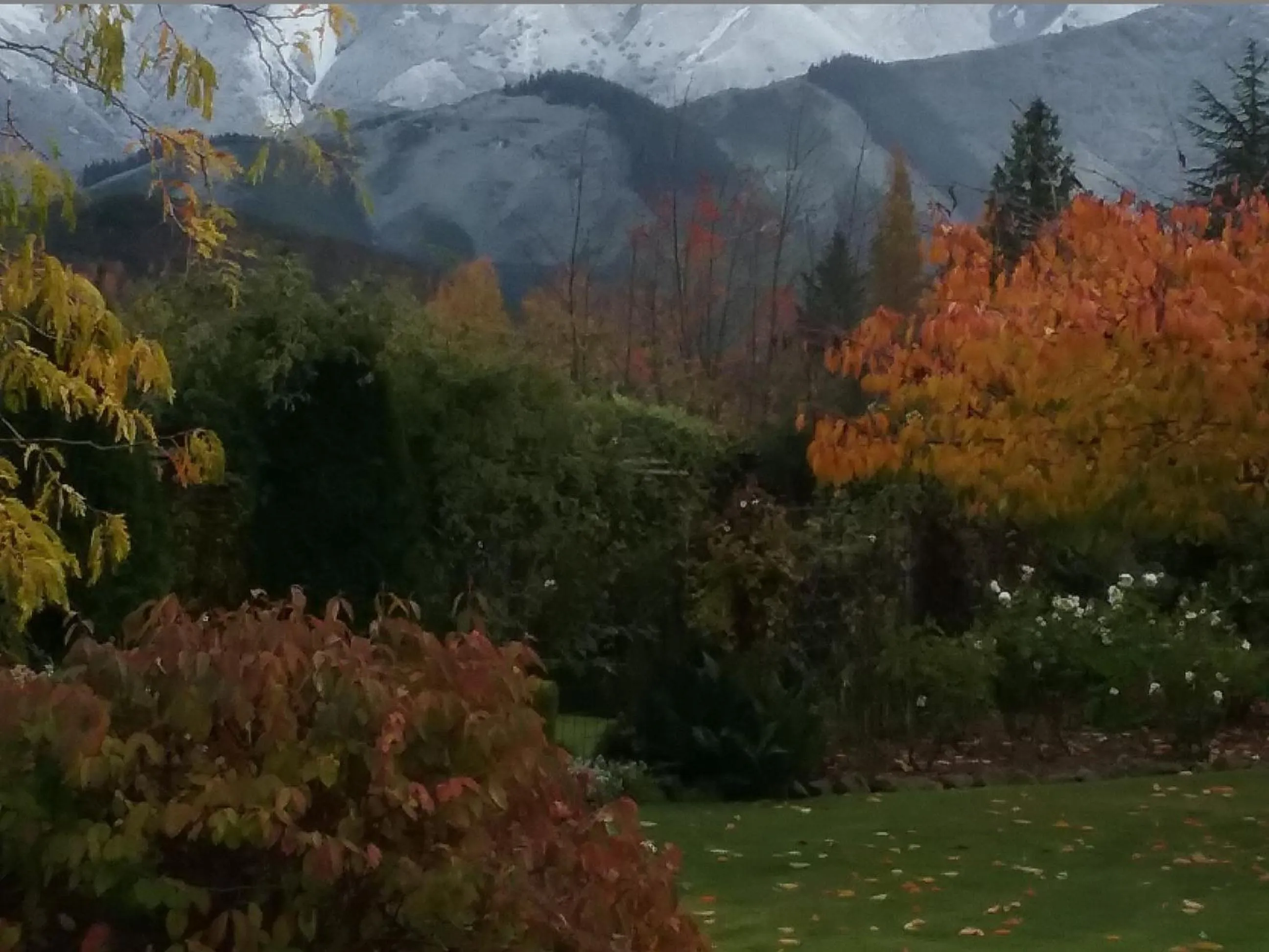 Autumn in Marchmont Gardens