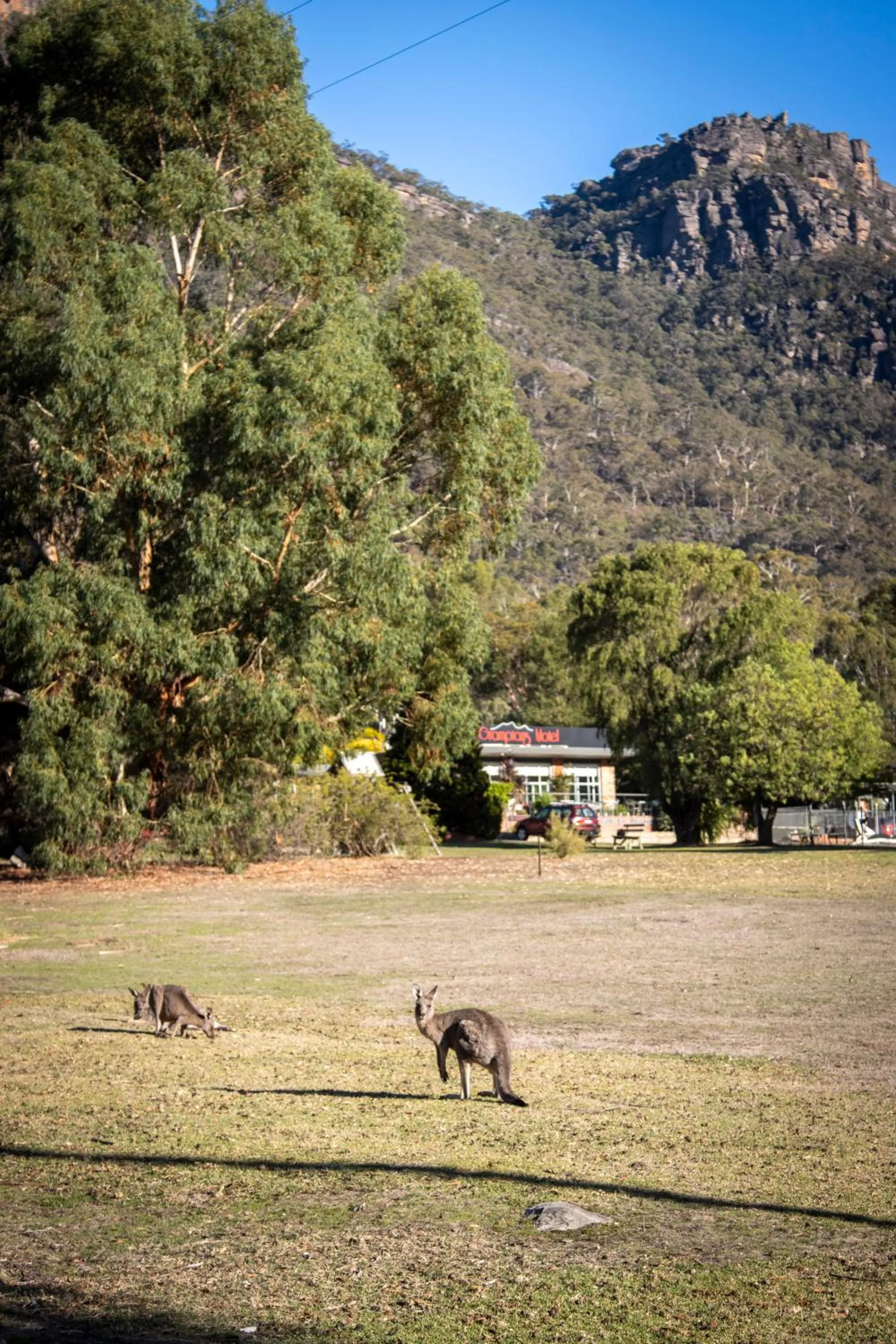 The Grampians Motel