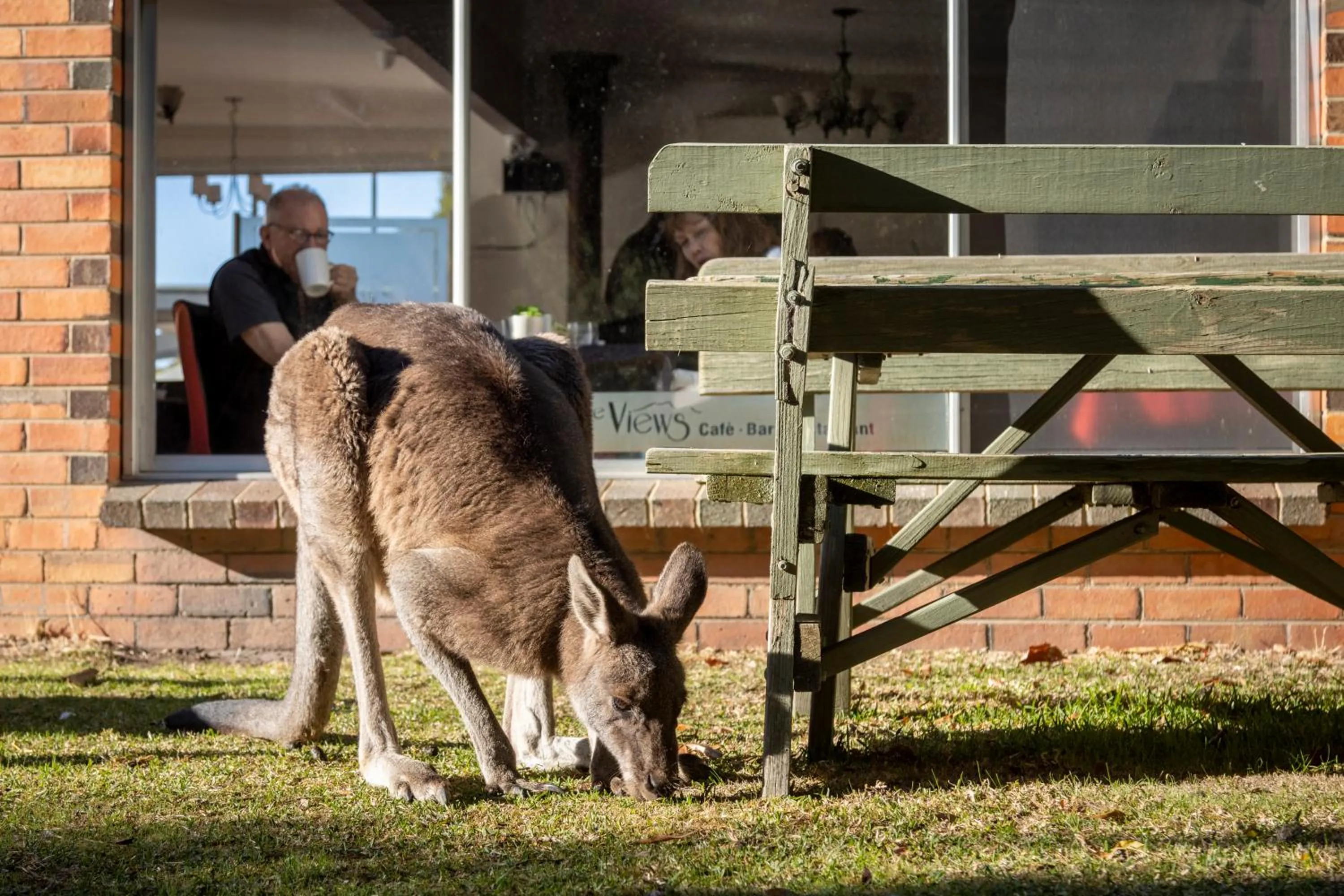 The Grampians Motel