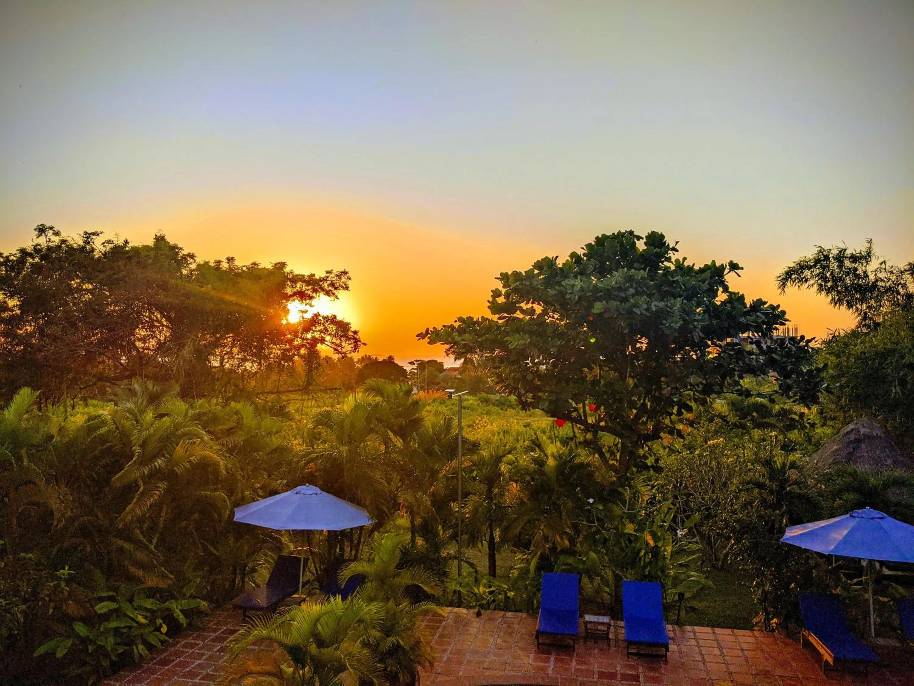 Garden in Raingsey Bungalow