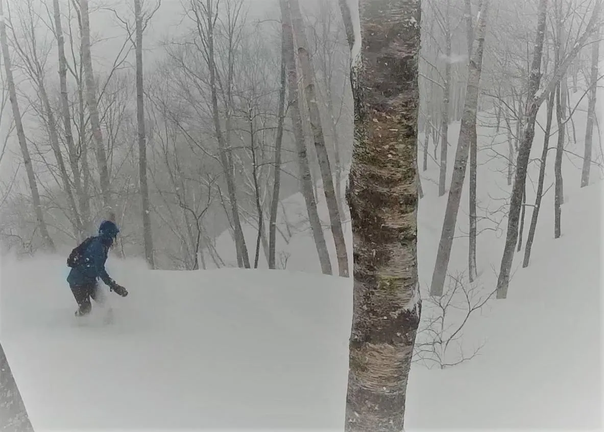Winter in White Tree Log House Madarao Tangram