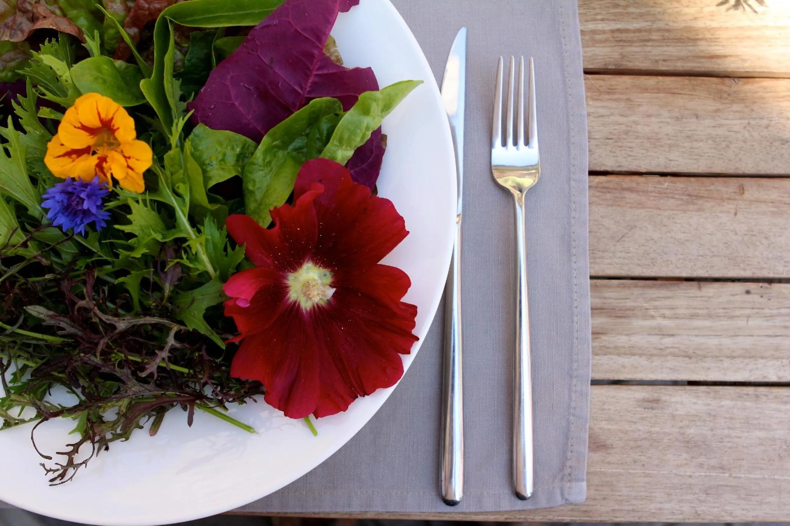 Restaurant/places to eat in Haus am Turm