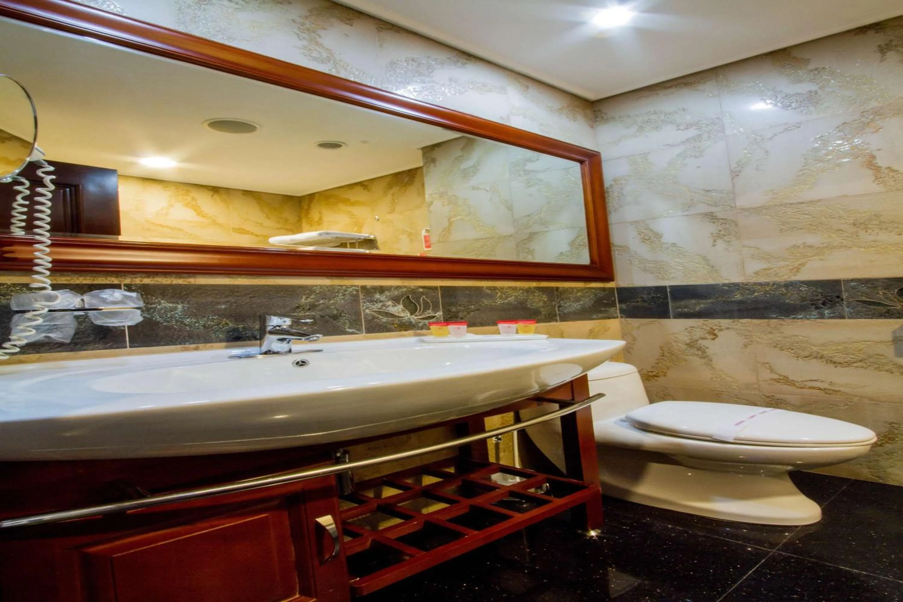 Bathroom in Ramada by Wyndham Brasov