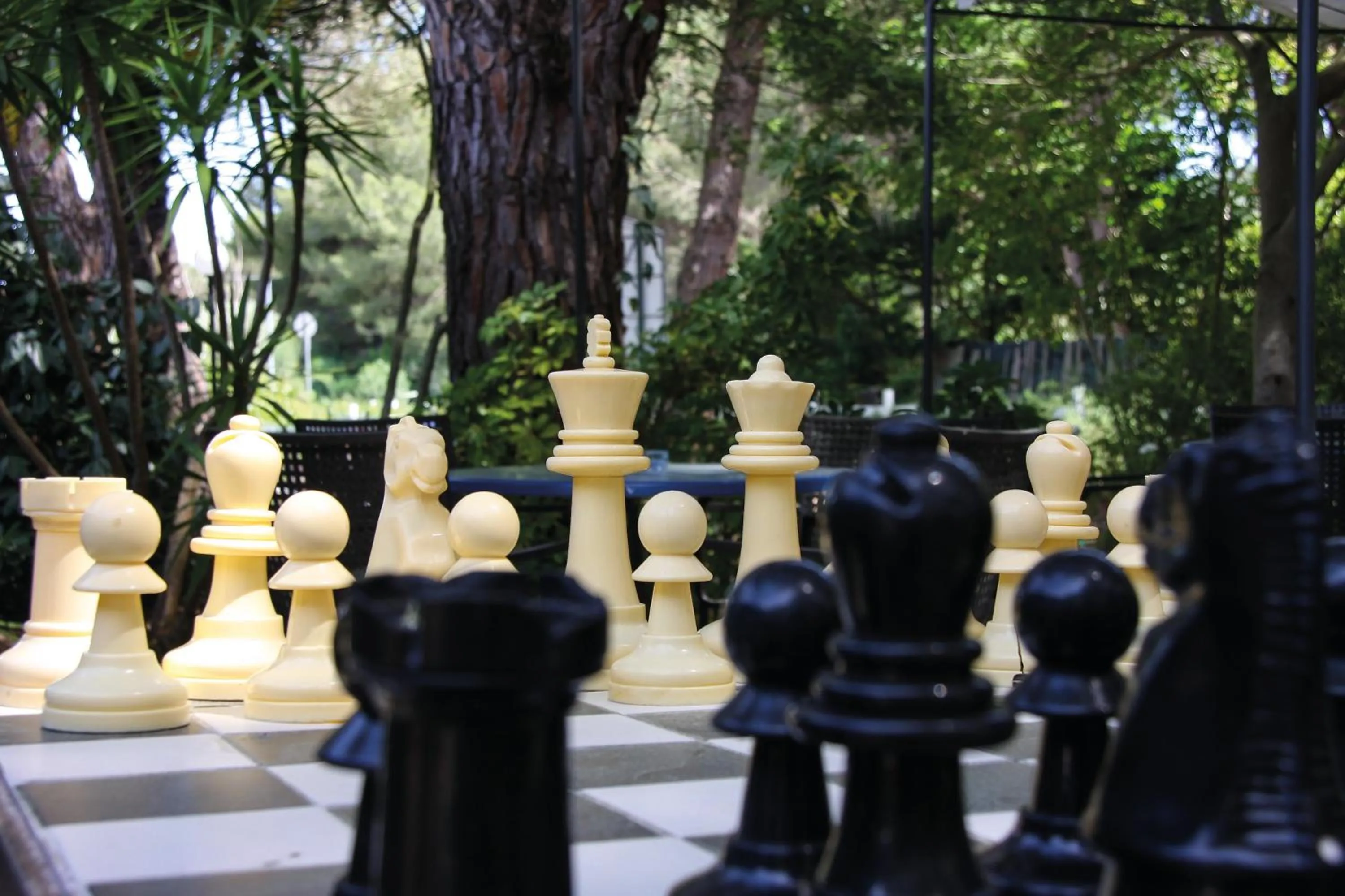 Entertainment in Hotel Giardino